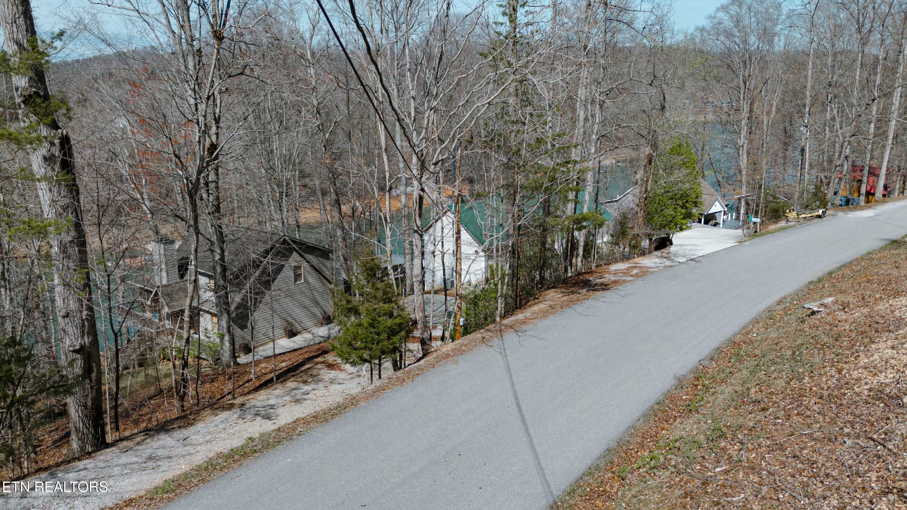 Norris Lake Real Estate - Image# 7