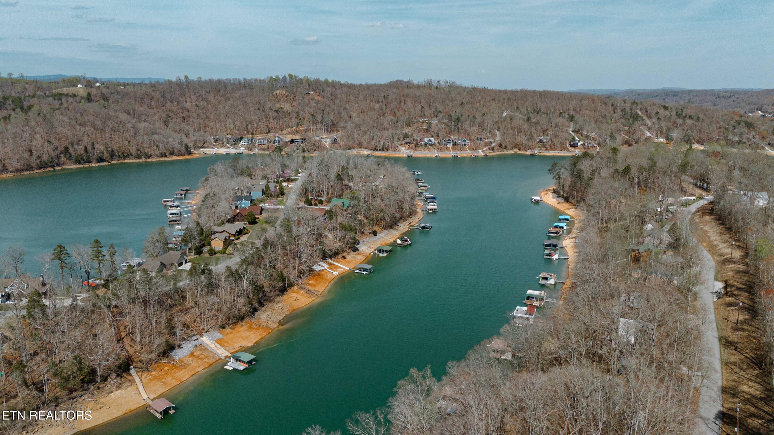 Norris Lake Real Estate - Image# 2