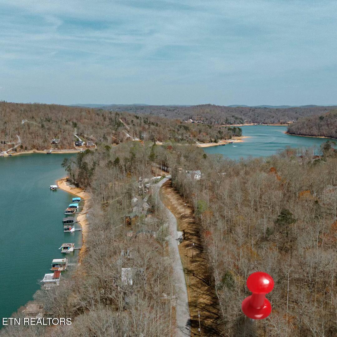 Norris Lake Real Estate - Image# 1