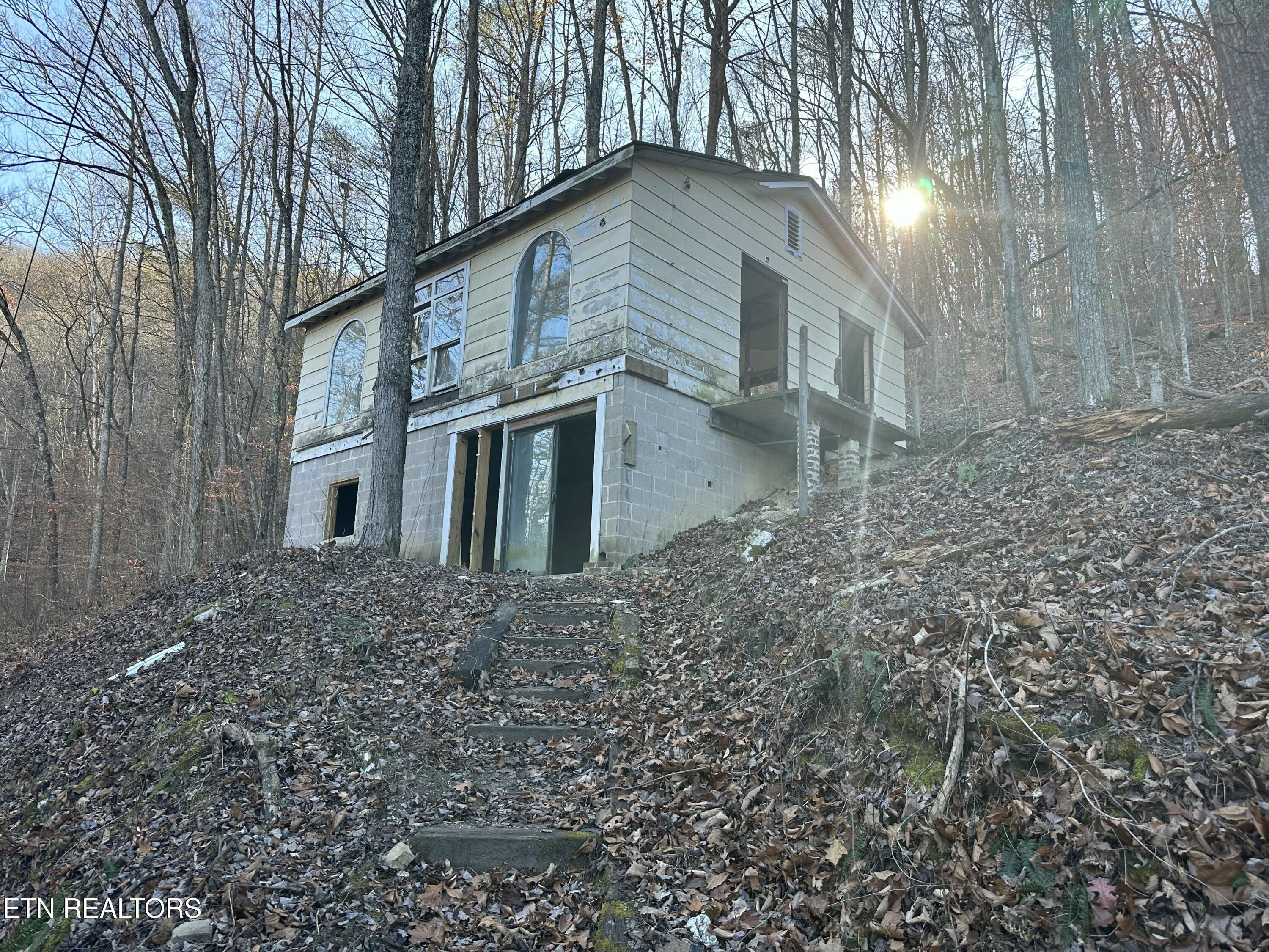 Norris Lake Real Estate - Image# 3