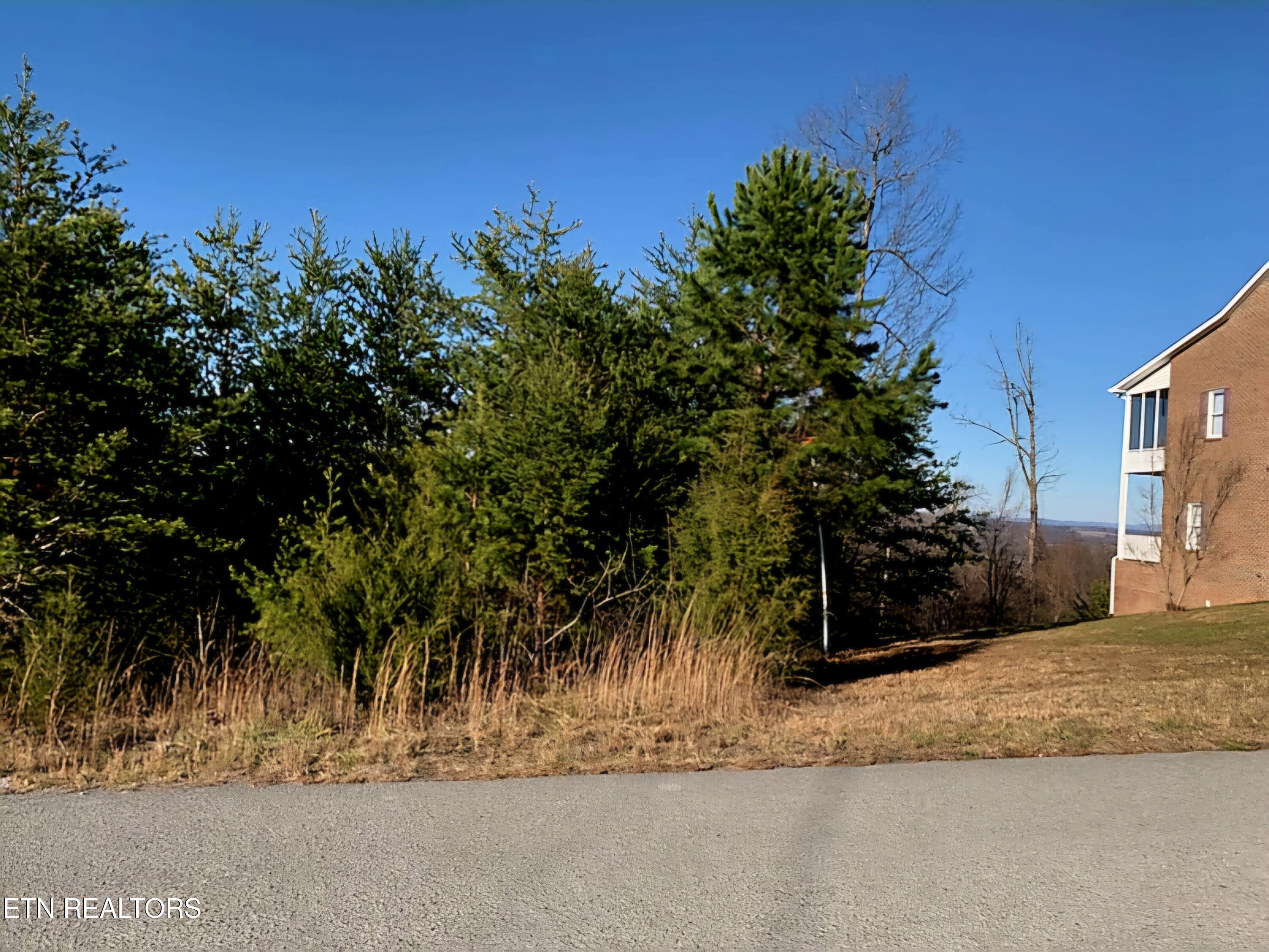 Norris Lake Real Estate - Image# 4