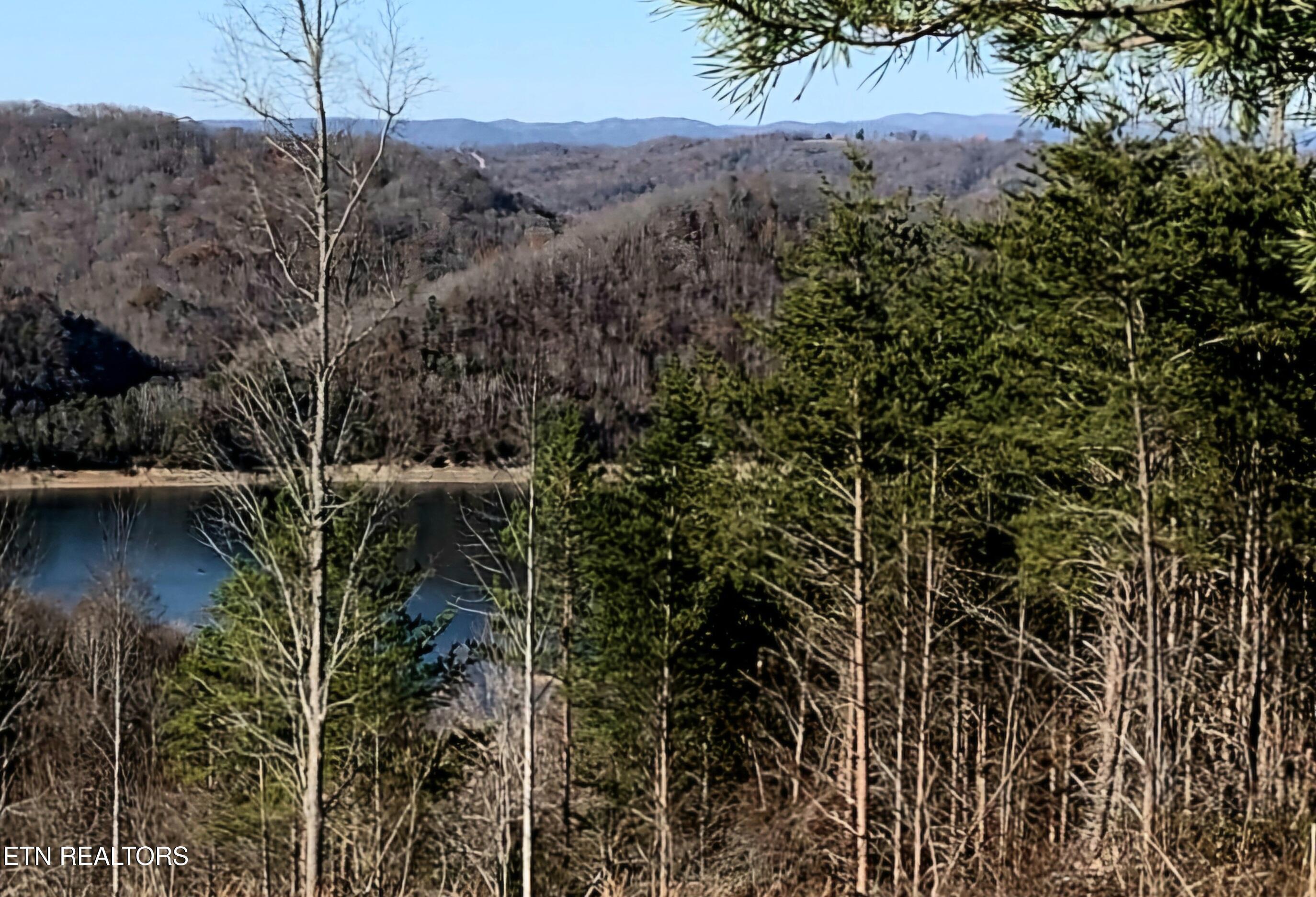 Norris Lake Real Estate - Image# 1