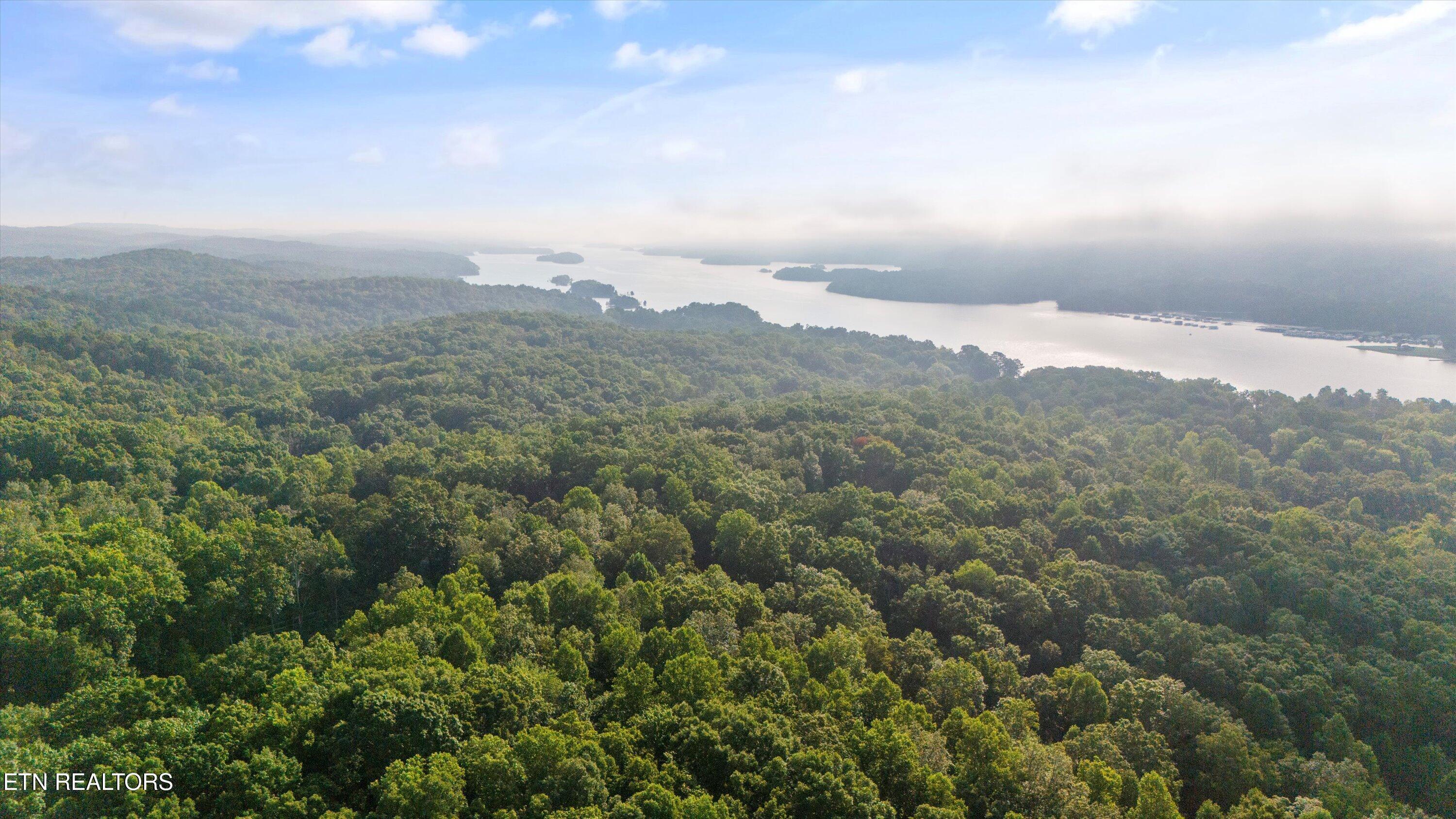 Norris Lake Real Estate - Image# 12