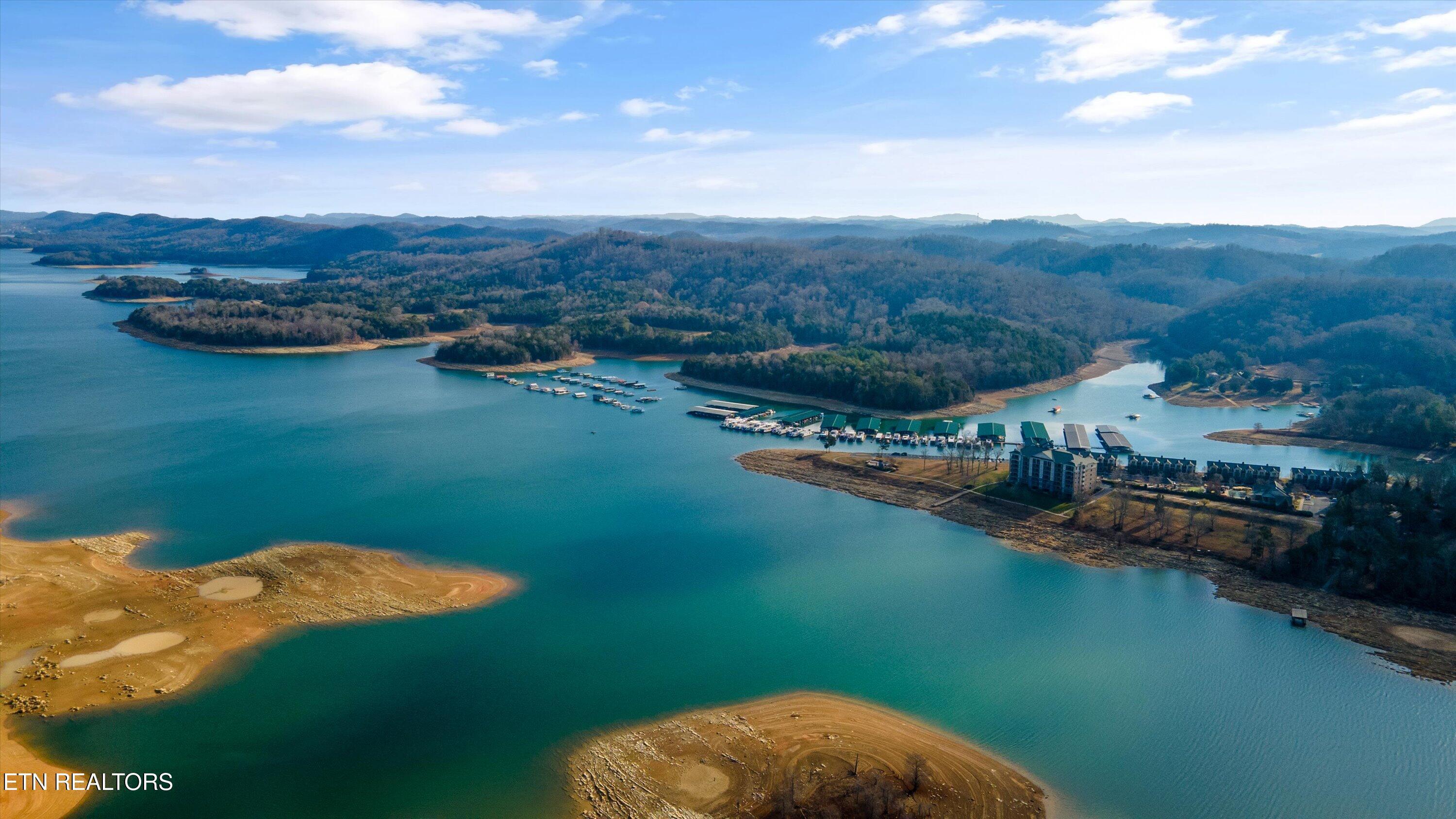 Norris Lake Real Estate - Image# 3