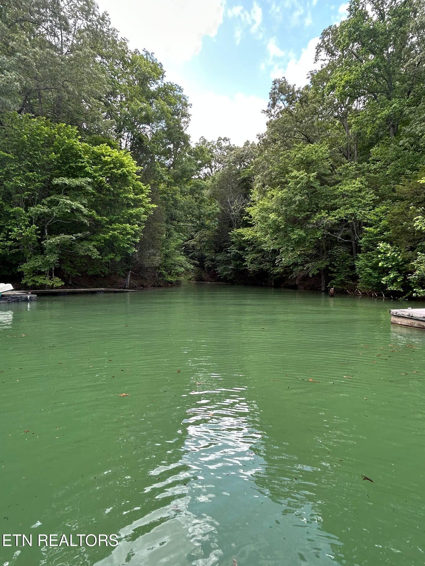 Norris Lake Real Estate - Image# 38