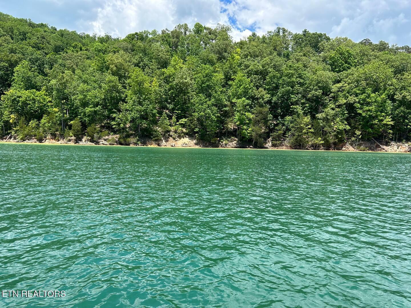 Norris Lake Real Estate - Image# 26