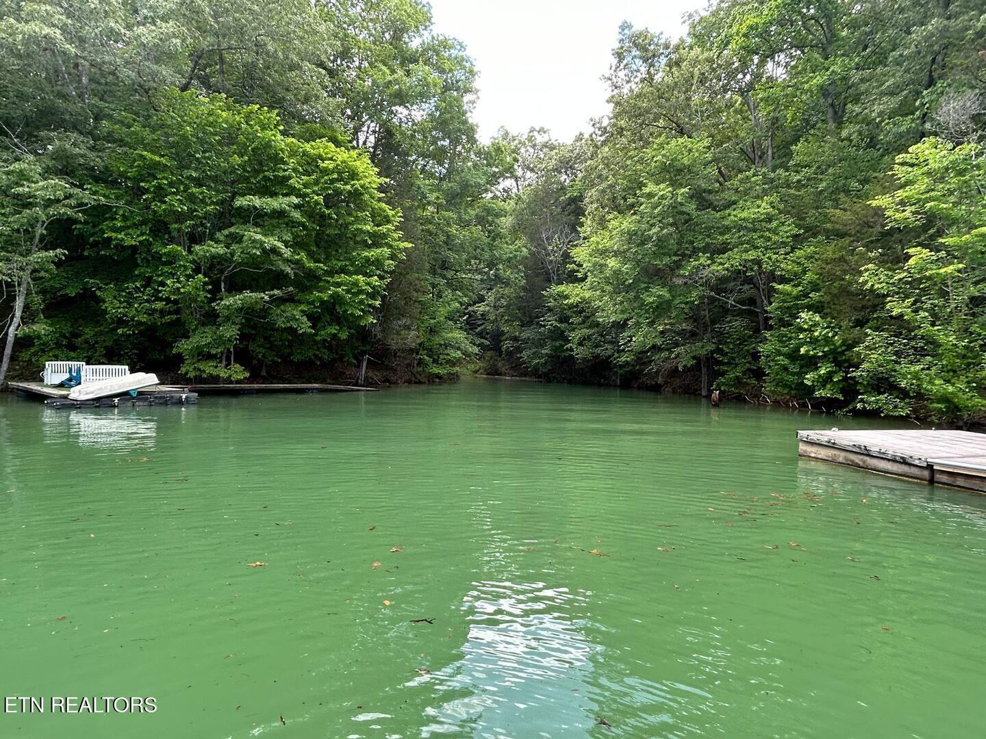 Norris Lake Real Estate - Image# 28