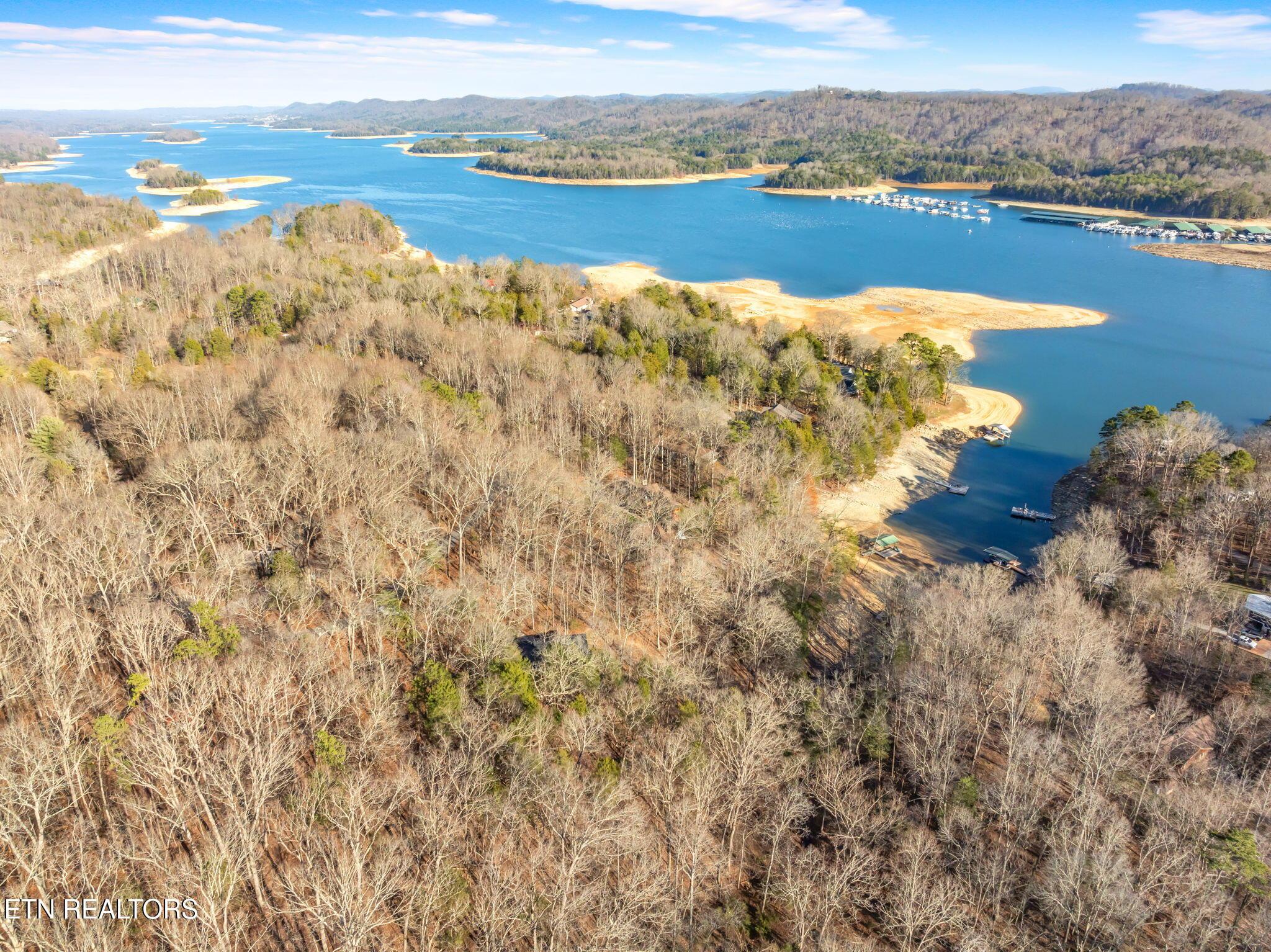 Norris Lake Real Estate - Image# 67