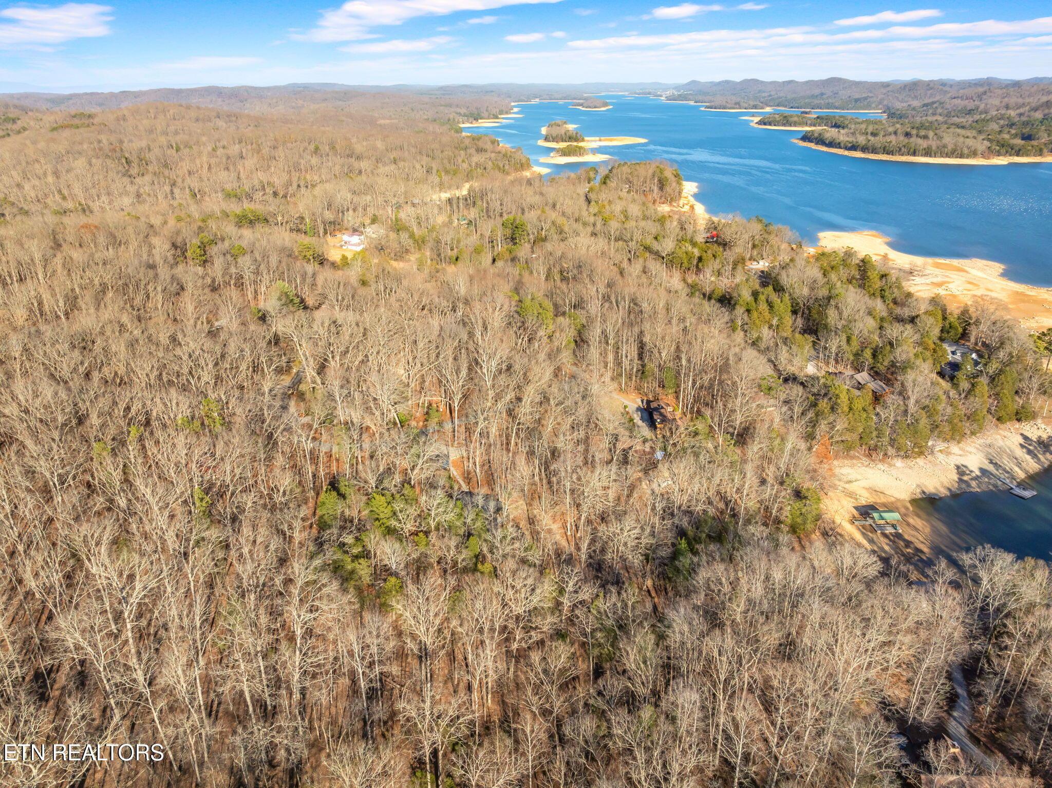 Norris Lake Real Estate - Image# 69