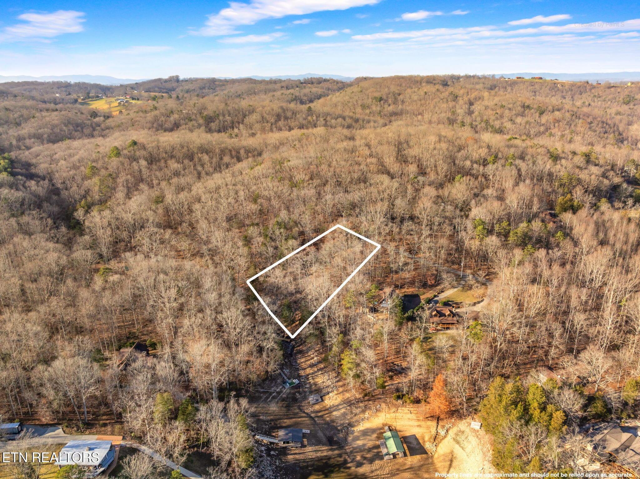 Norris Lake Real Estate - Image# 73