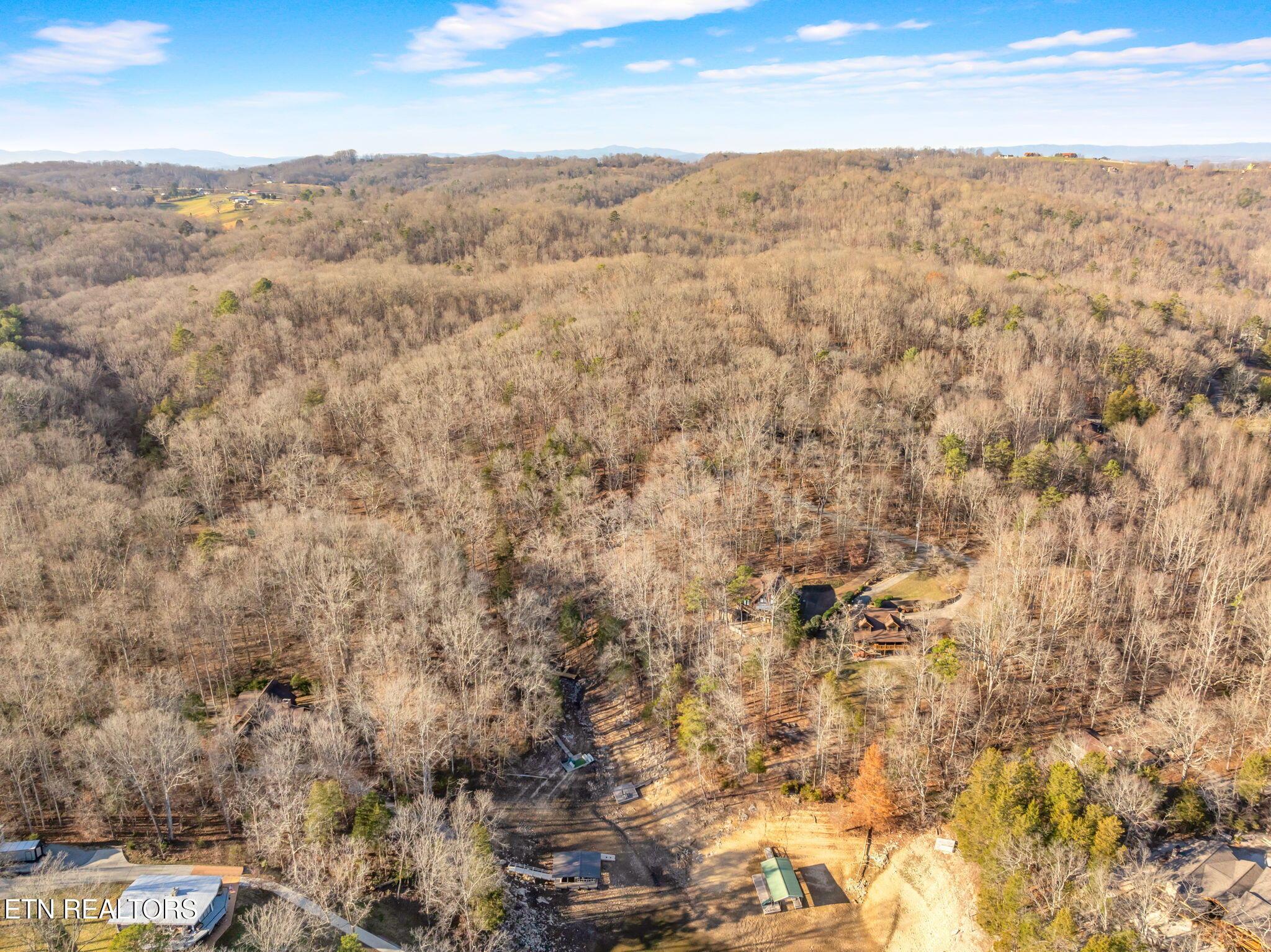 Norris Lake Real Estate - Image# 75