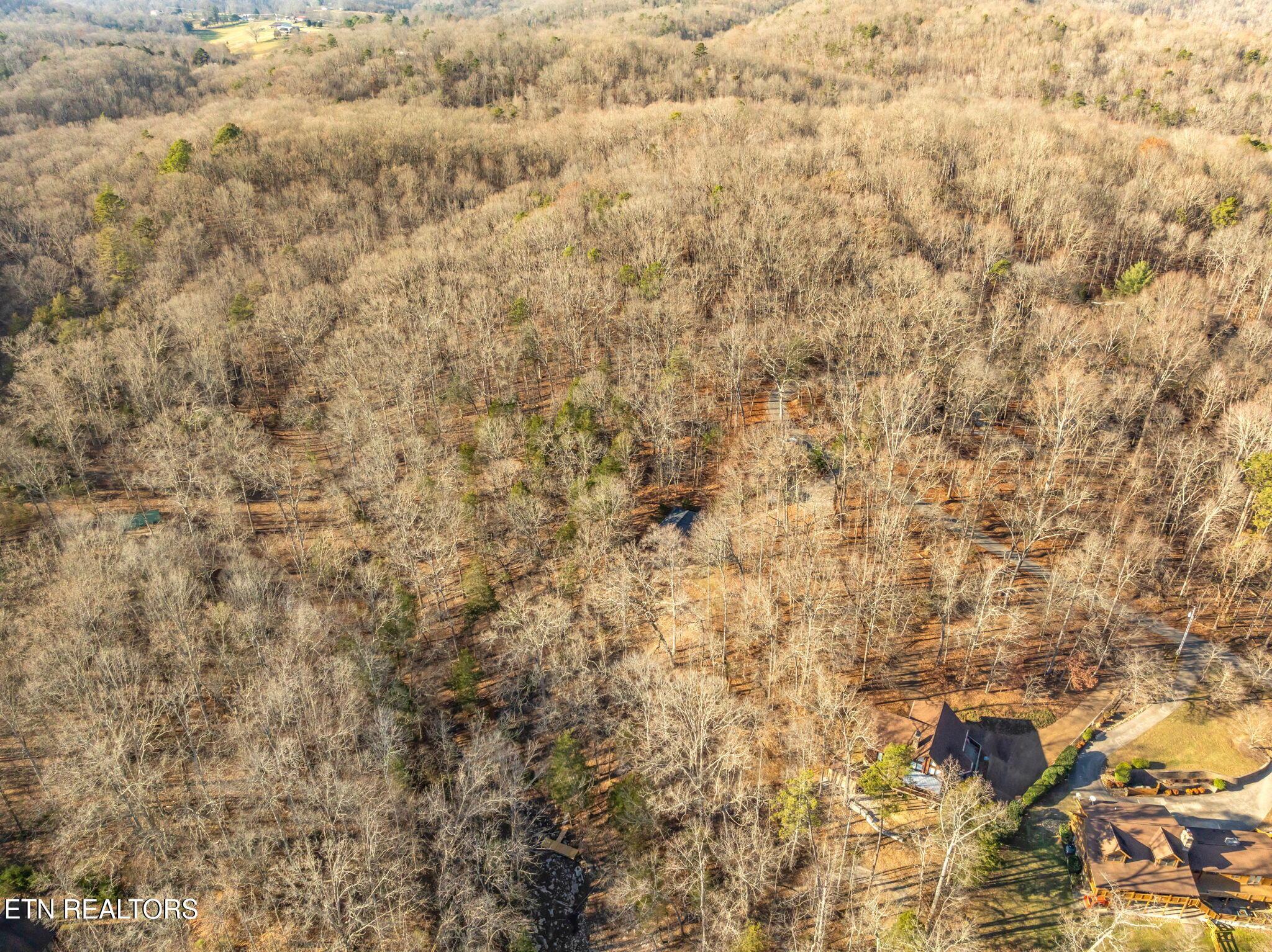 Norris Lake Real Estate - Image# 77