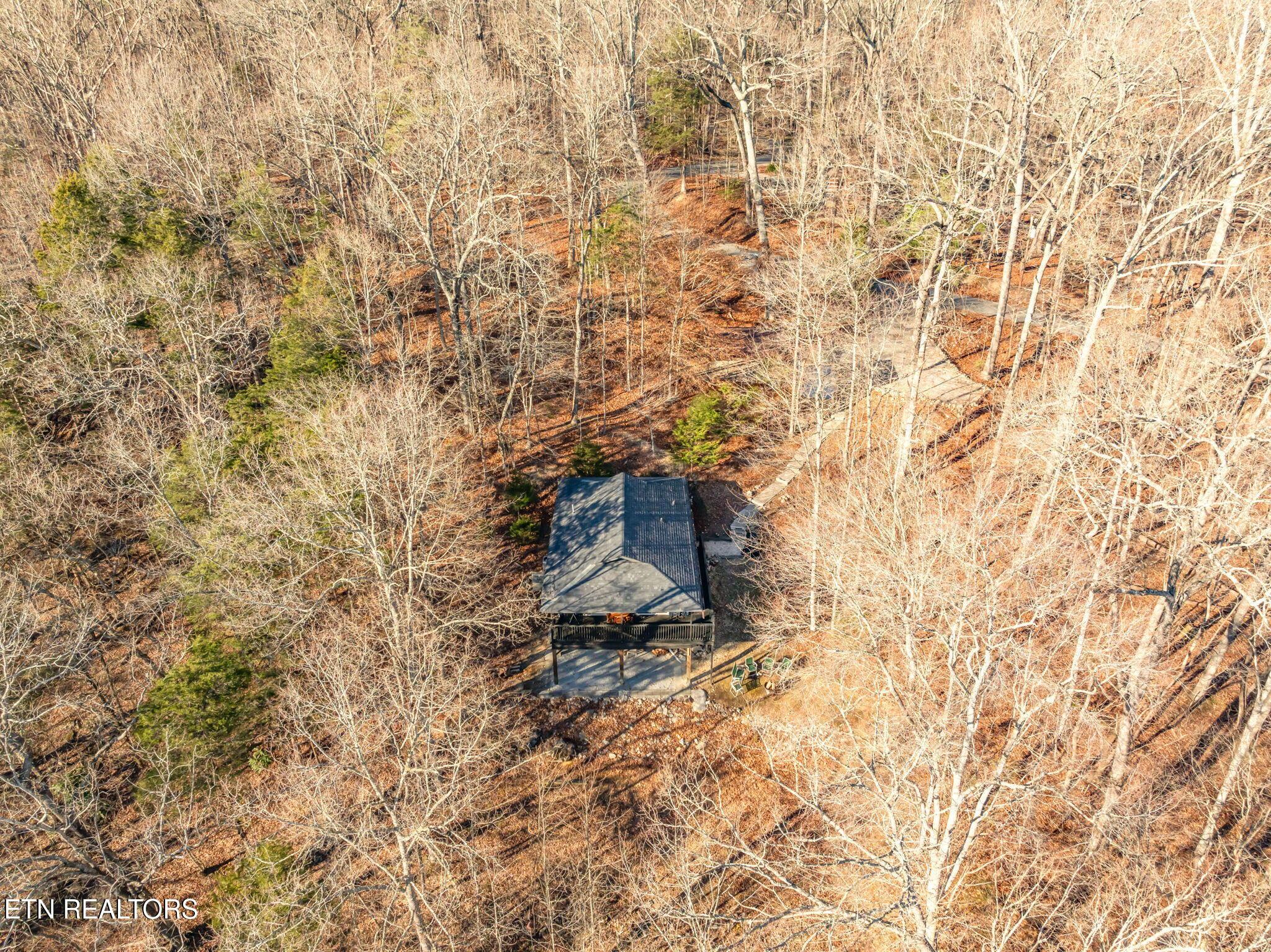 Norris Lake Real Estate - Image# 81