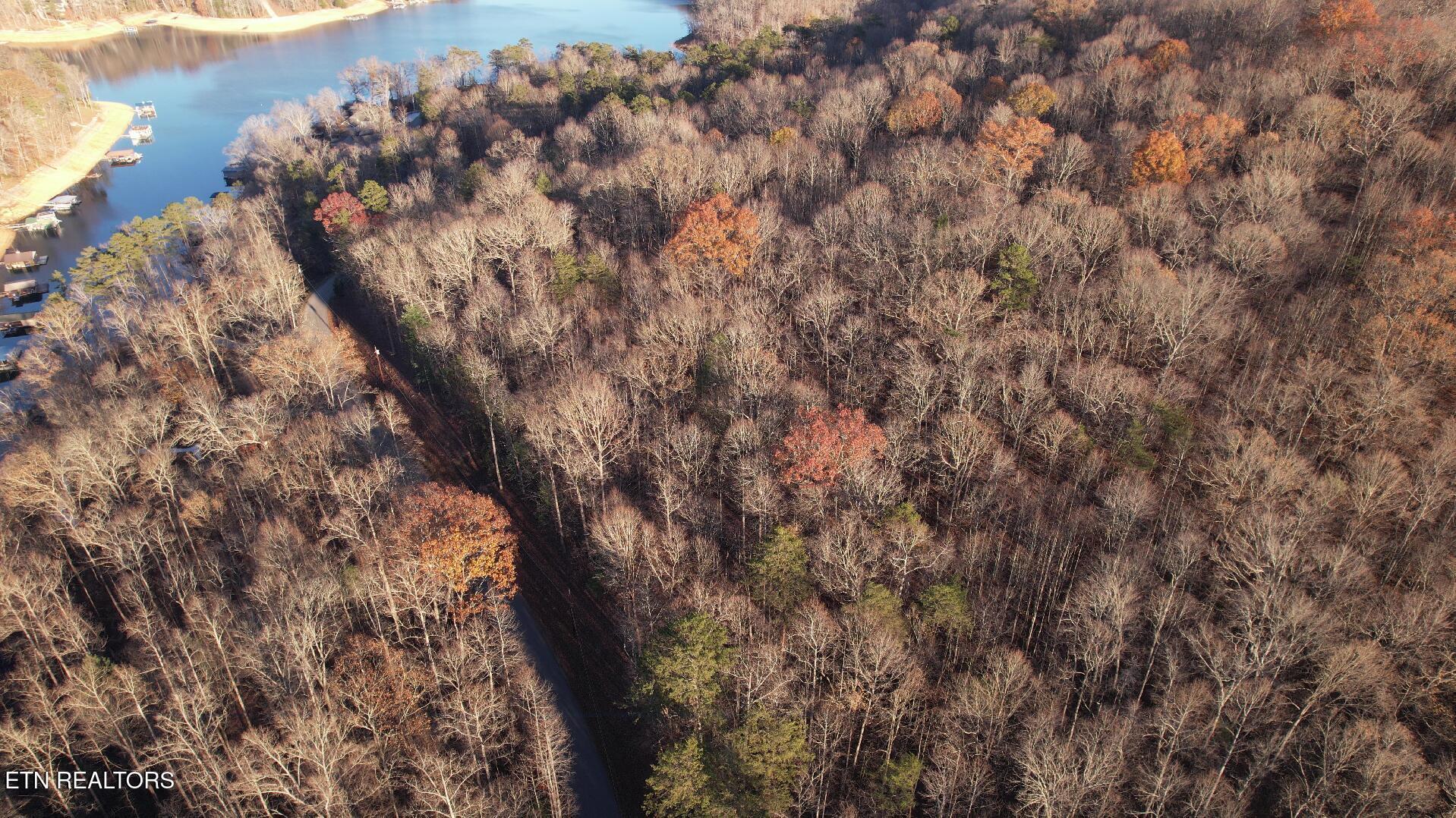 Norris Lake Real Estate - Image# 8