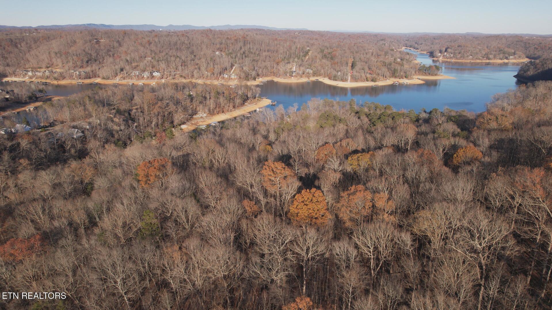 Norris Lake Real Estate - Image# 11