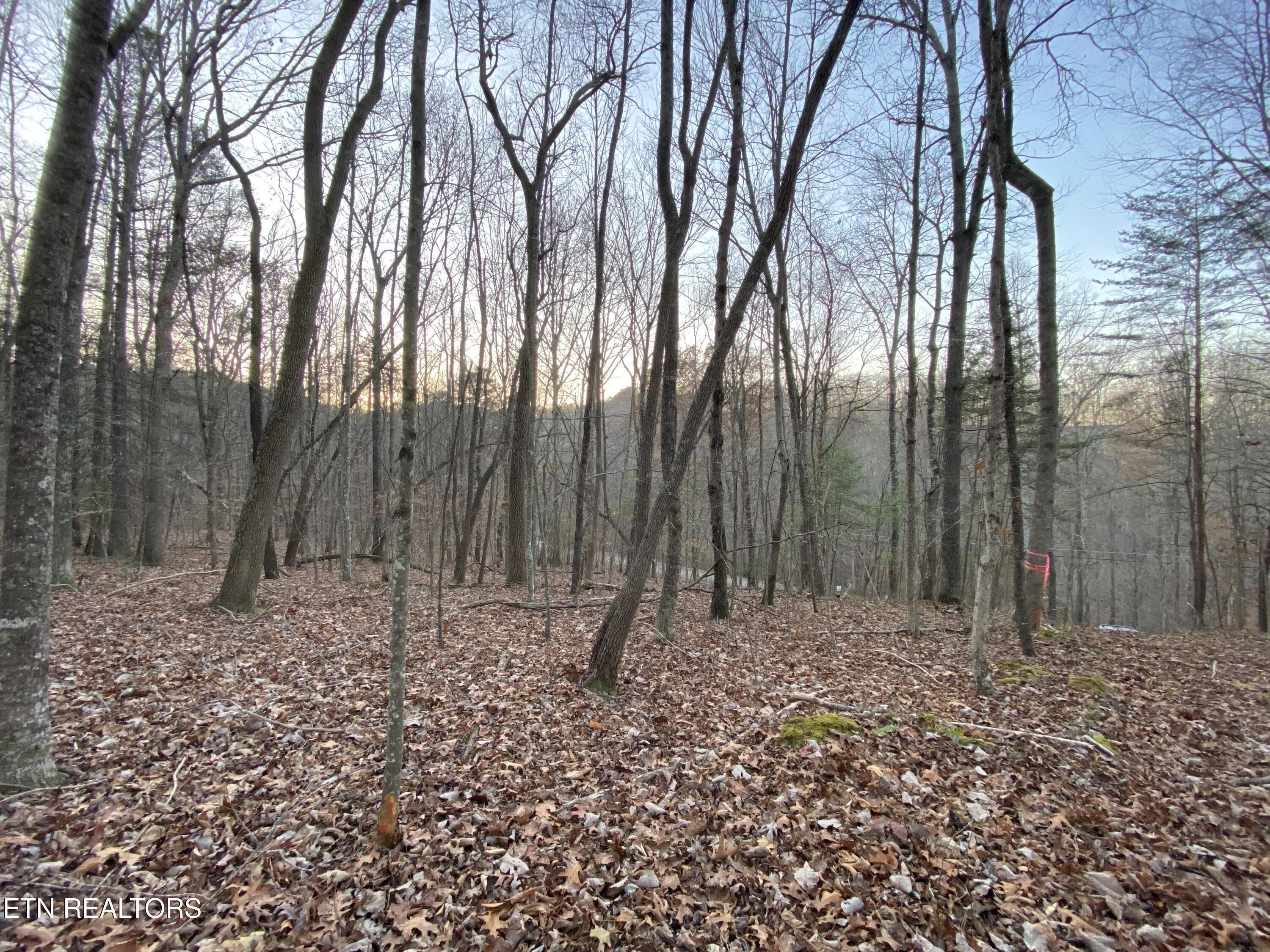 Norris Lake Real Estate - Image# 14