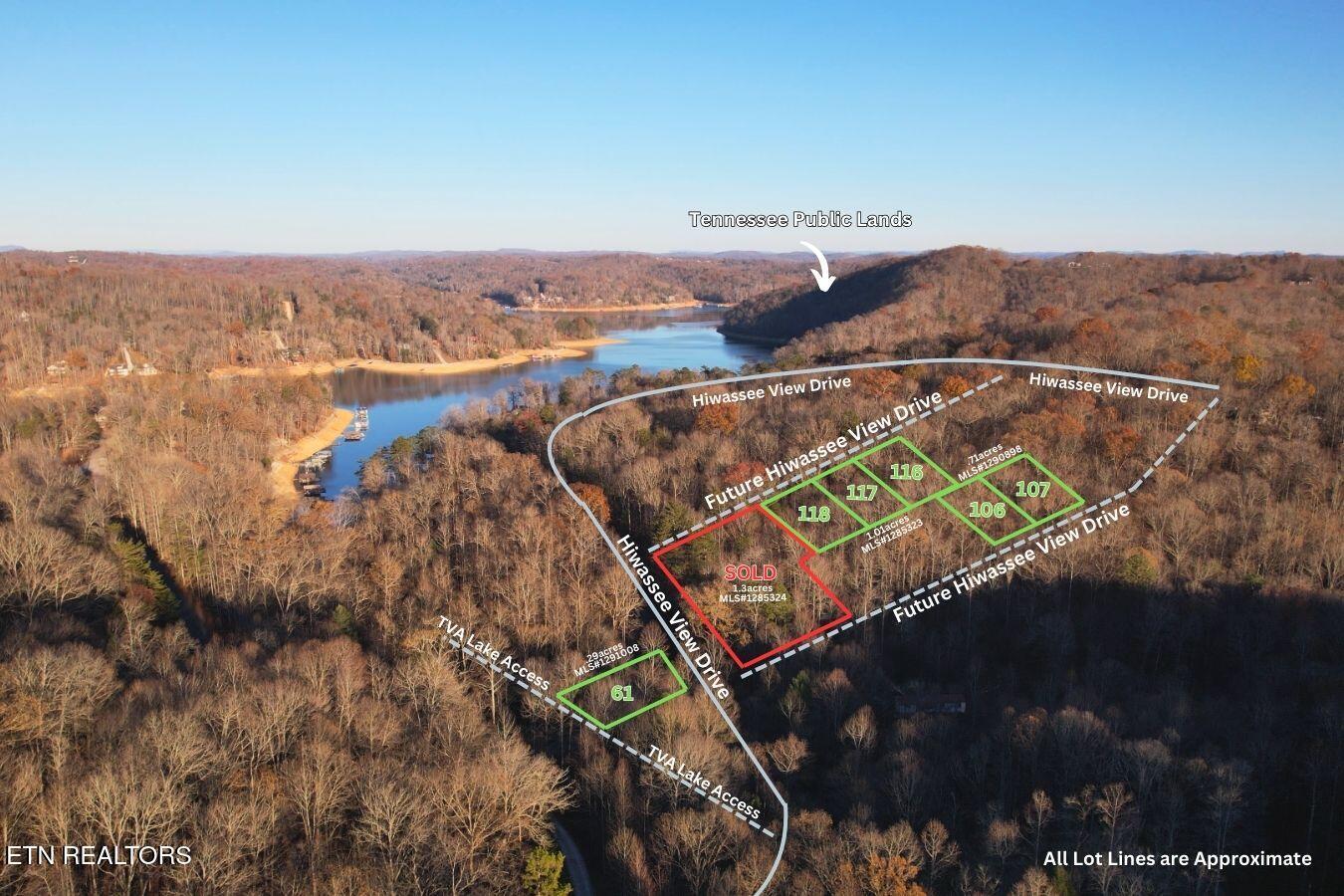 Norris Lake Real Estate - Image# 3