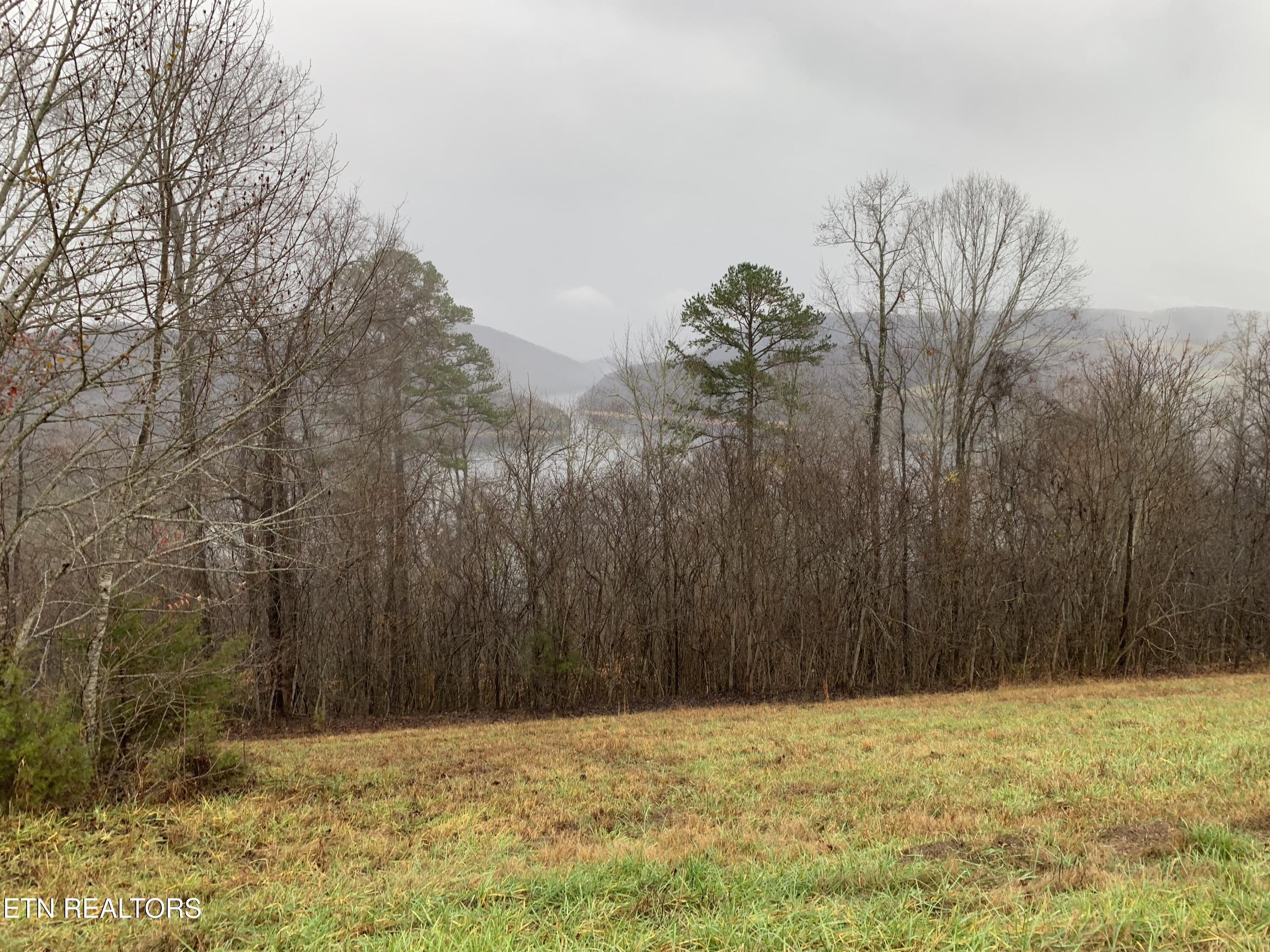 Norris Lake Real Estate - Image# 1