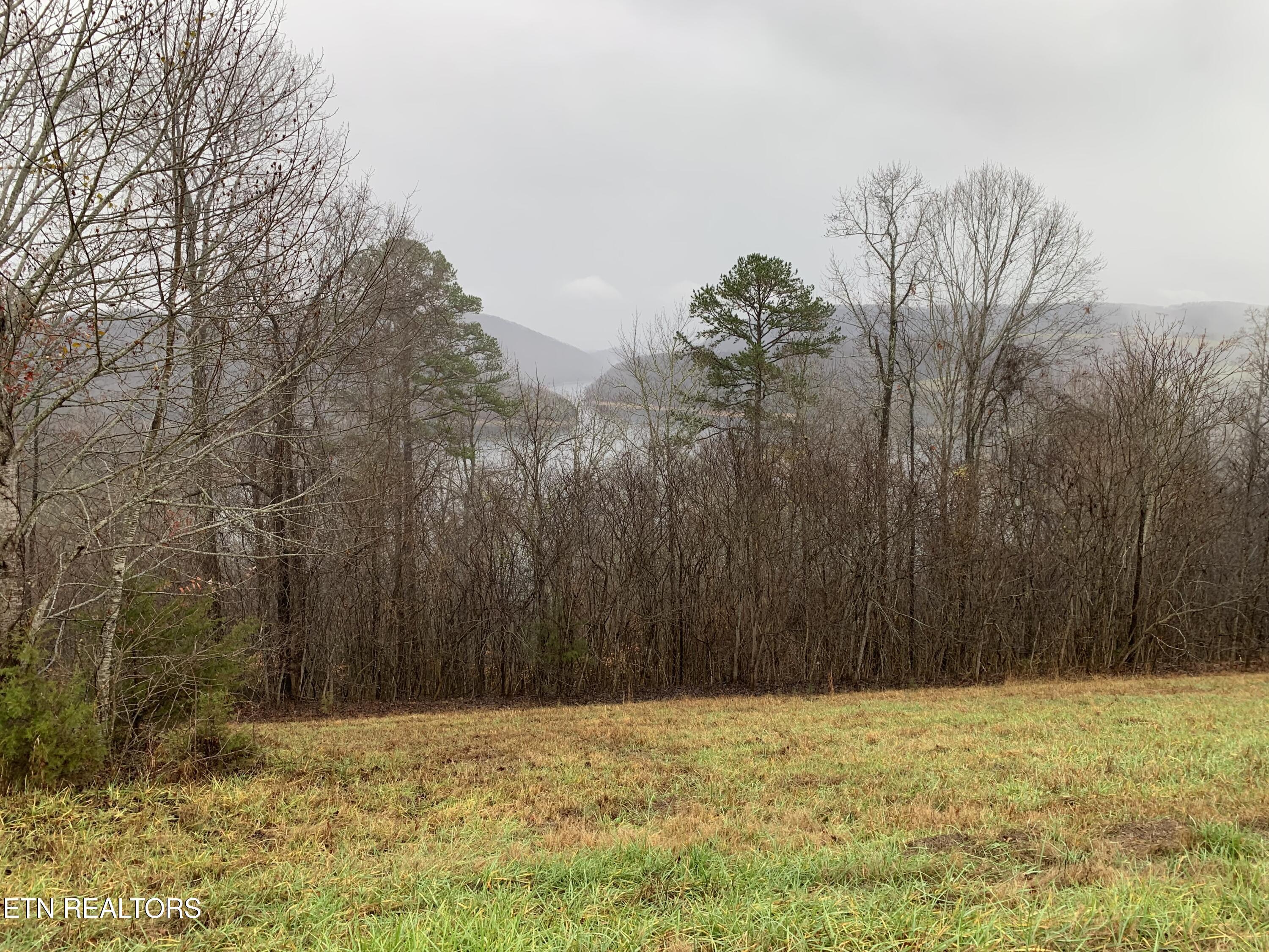 Norris Lake Real Estate - Image# 2