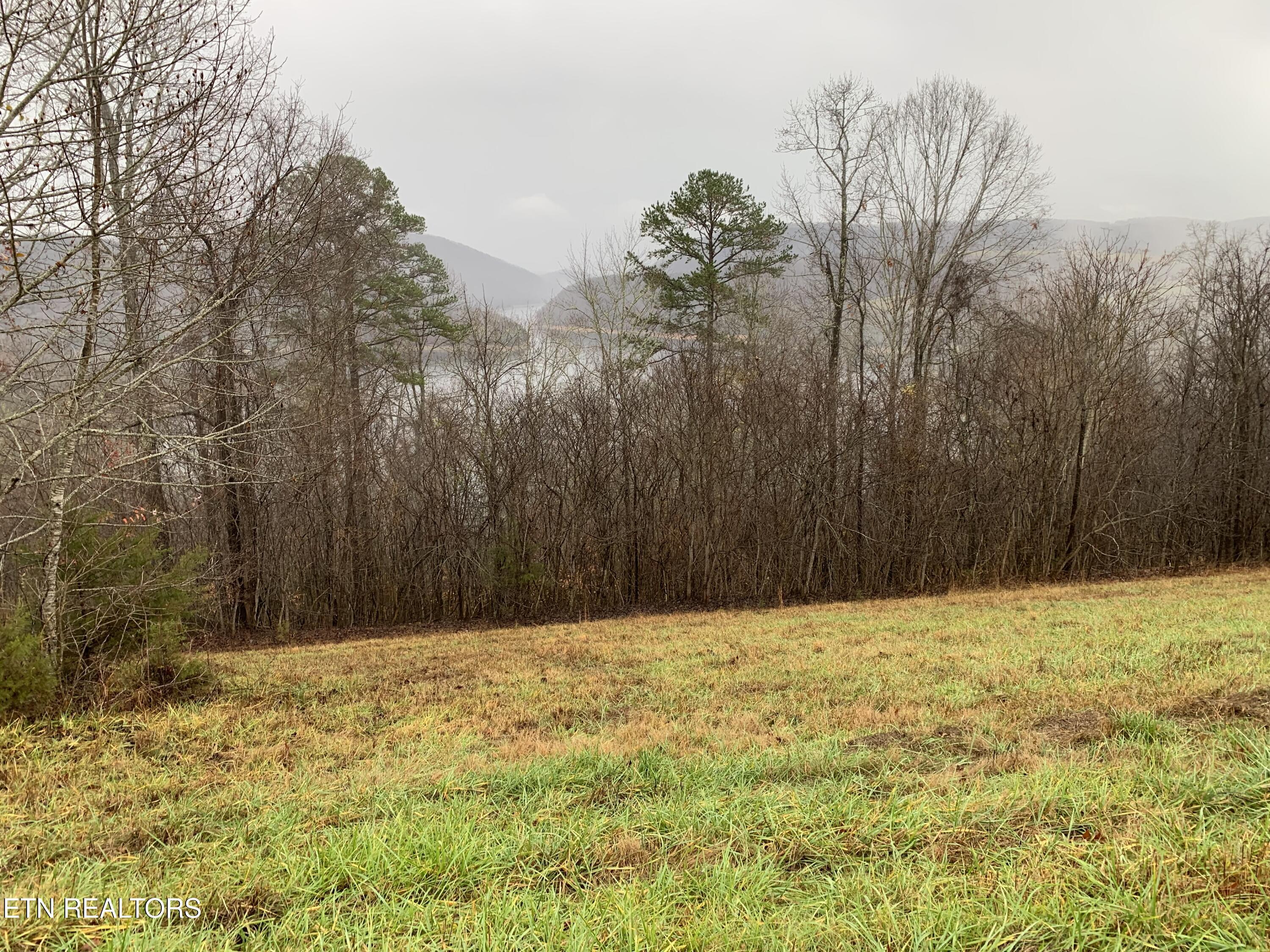 Norris Lake Real Estate - Image# 3