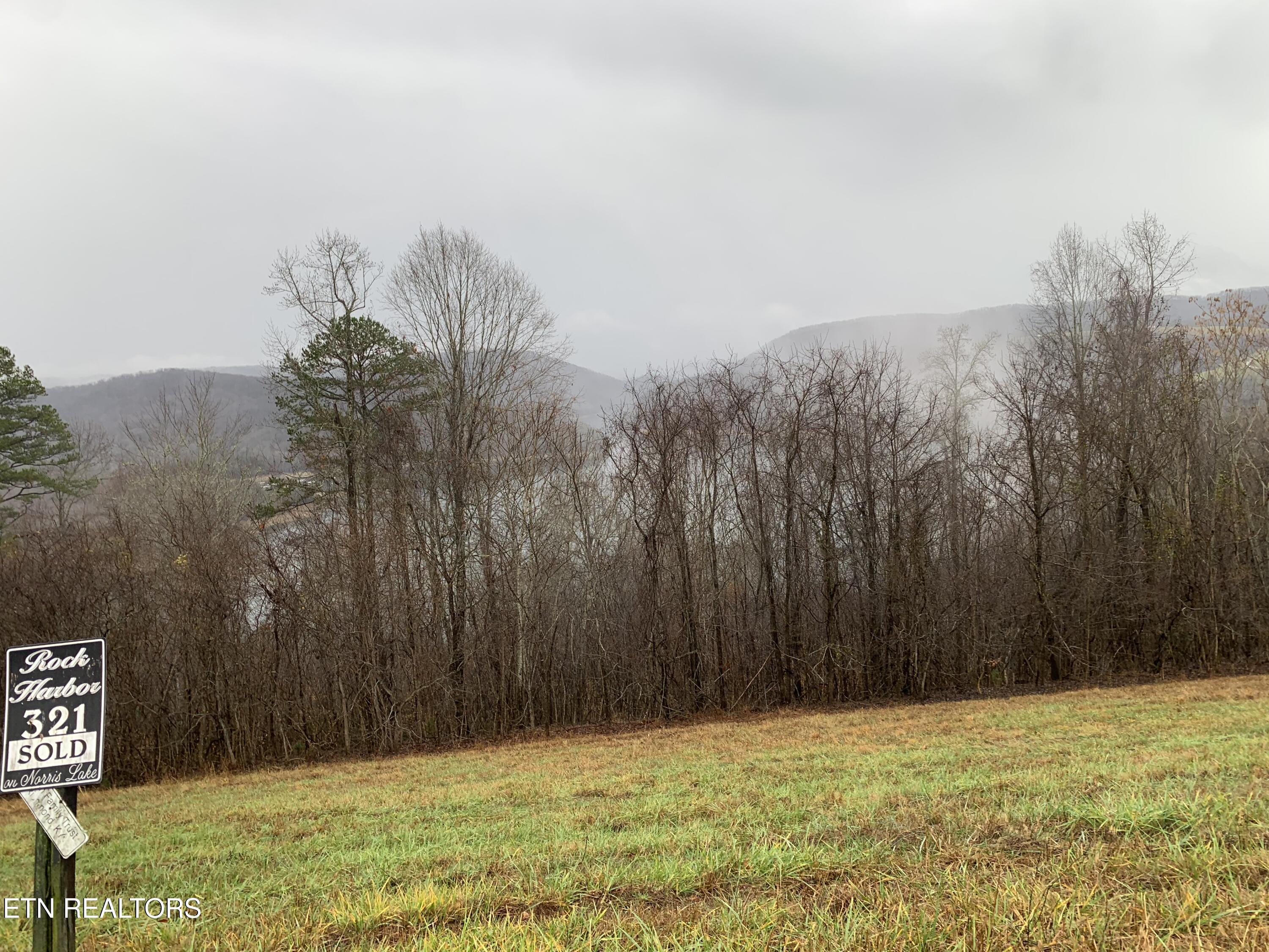 Norris Lake Real Estate - Image# 7