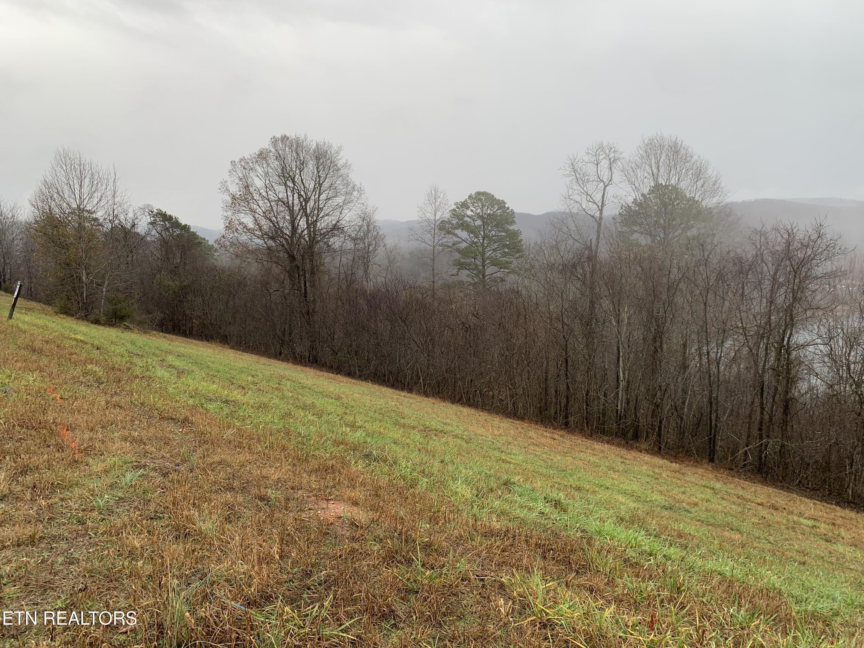 Norris Lake Real Estate - Image# 11