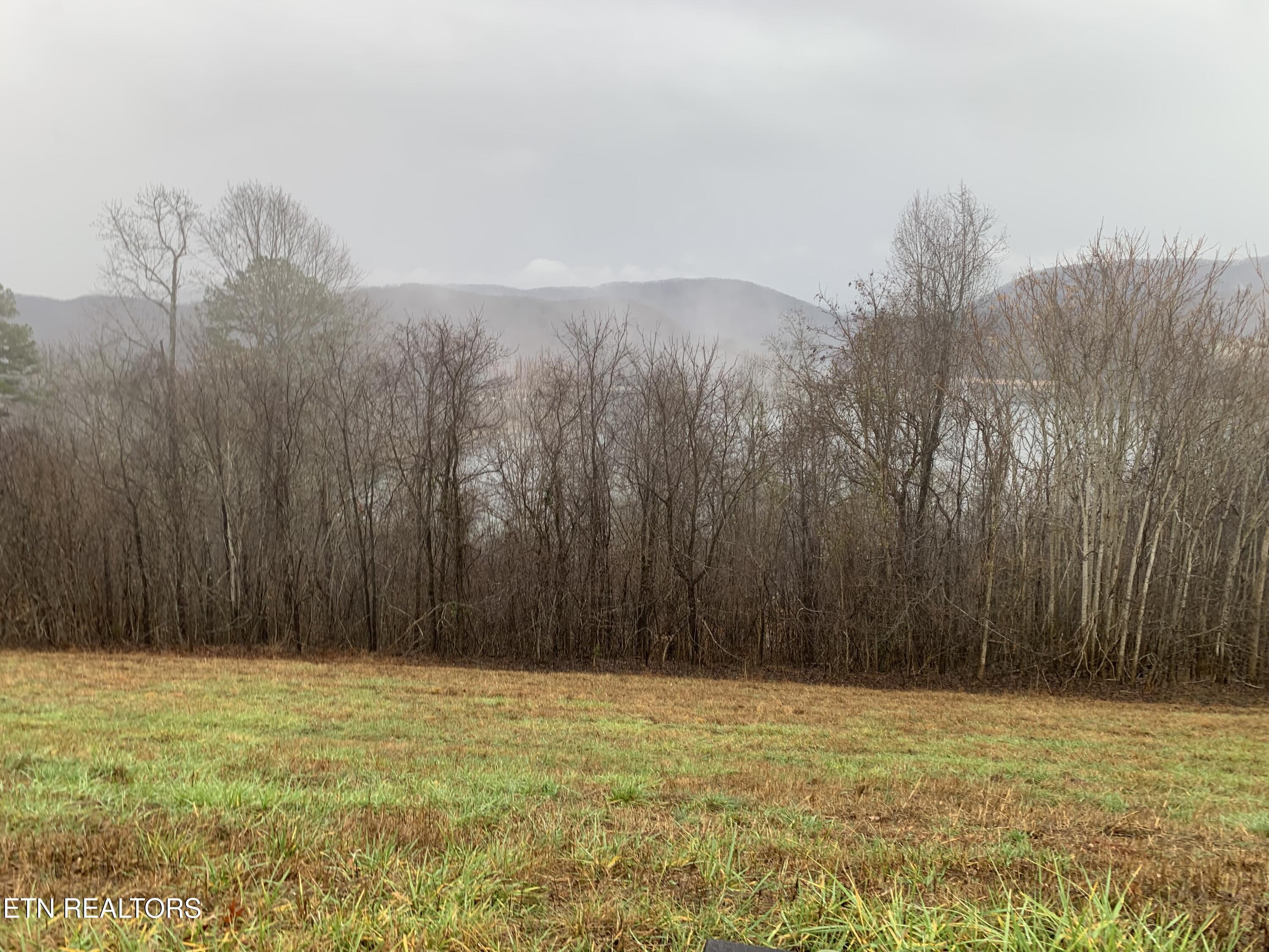 Norris Lake Real Estate - Image# 13