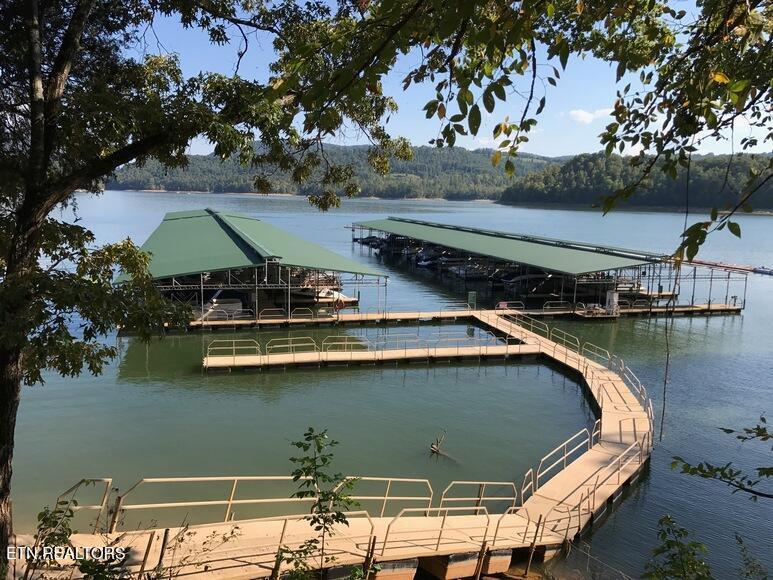 Norris Lake Real Estate - Image# 19