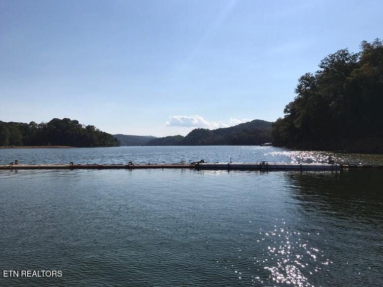 Norris Lake Real Estate - Image# 21