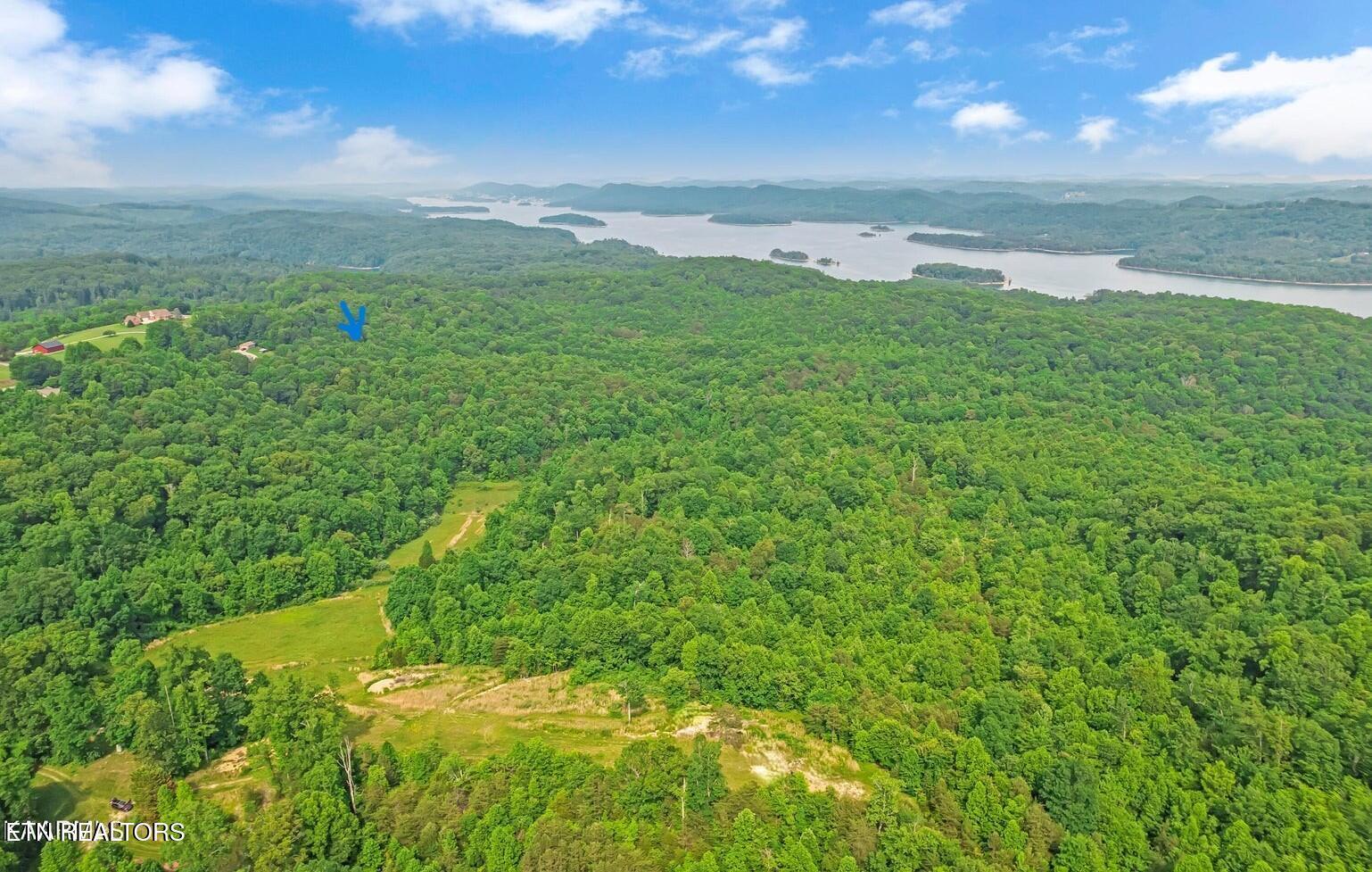 Norris Lake Real Estate - Image# 1