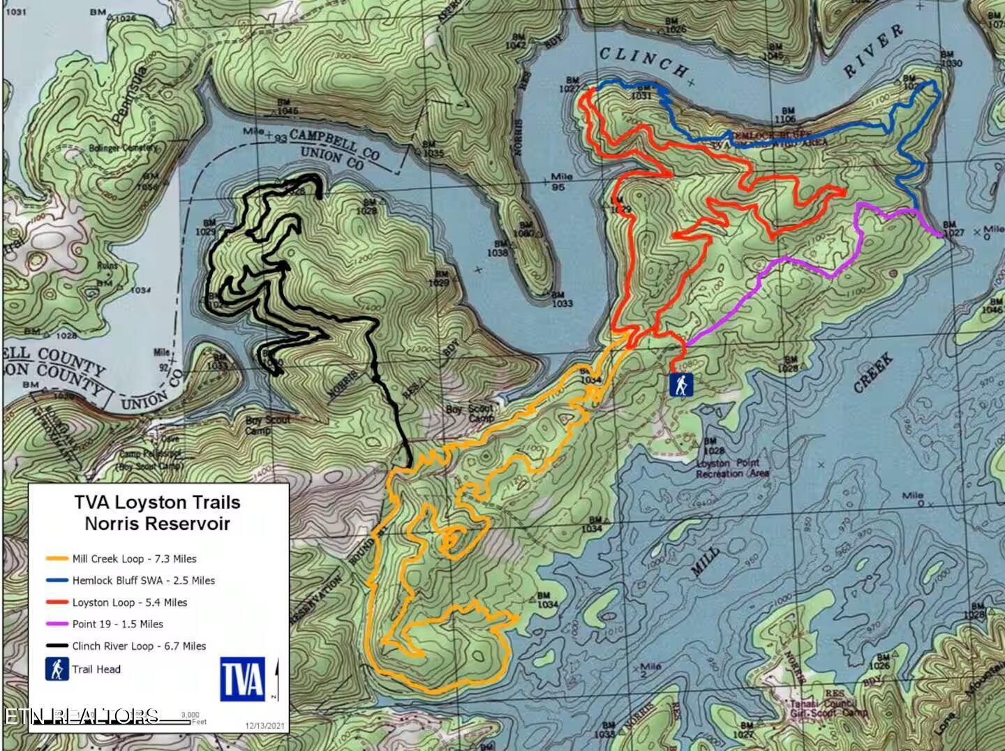 Norris Lake Real Estate - Image# 18