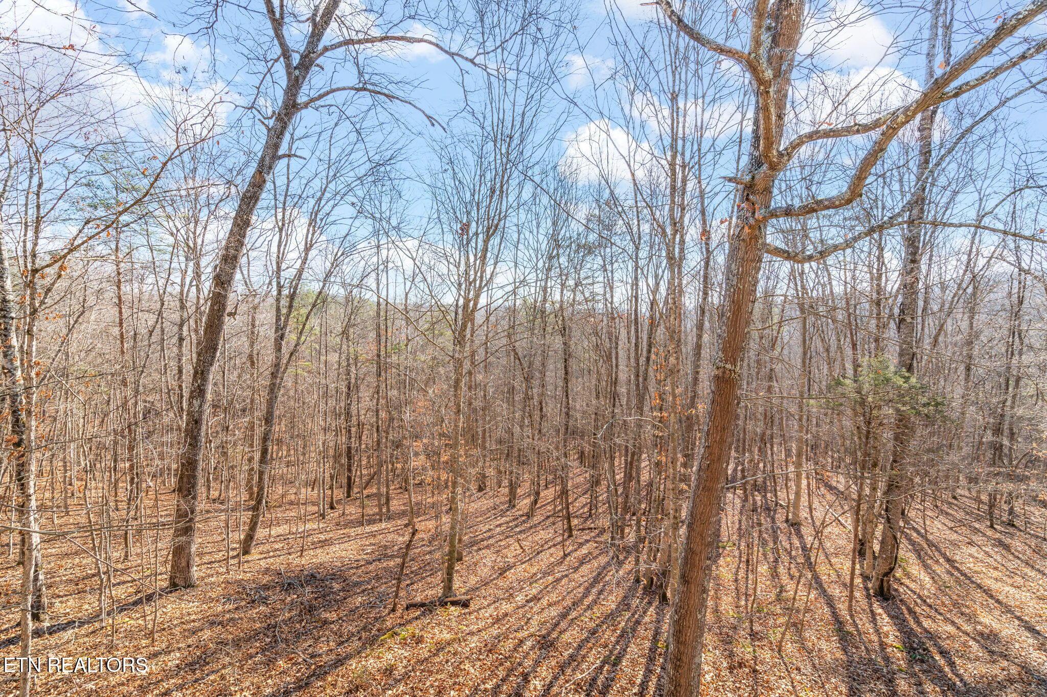 Norris Lake Real Estate - Image# 38