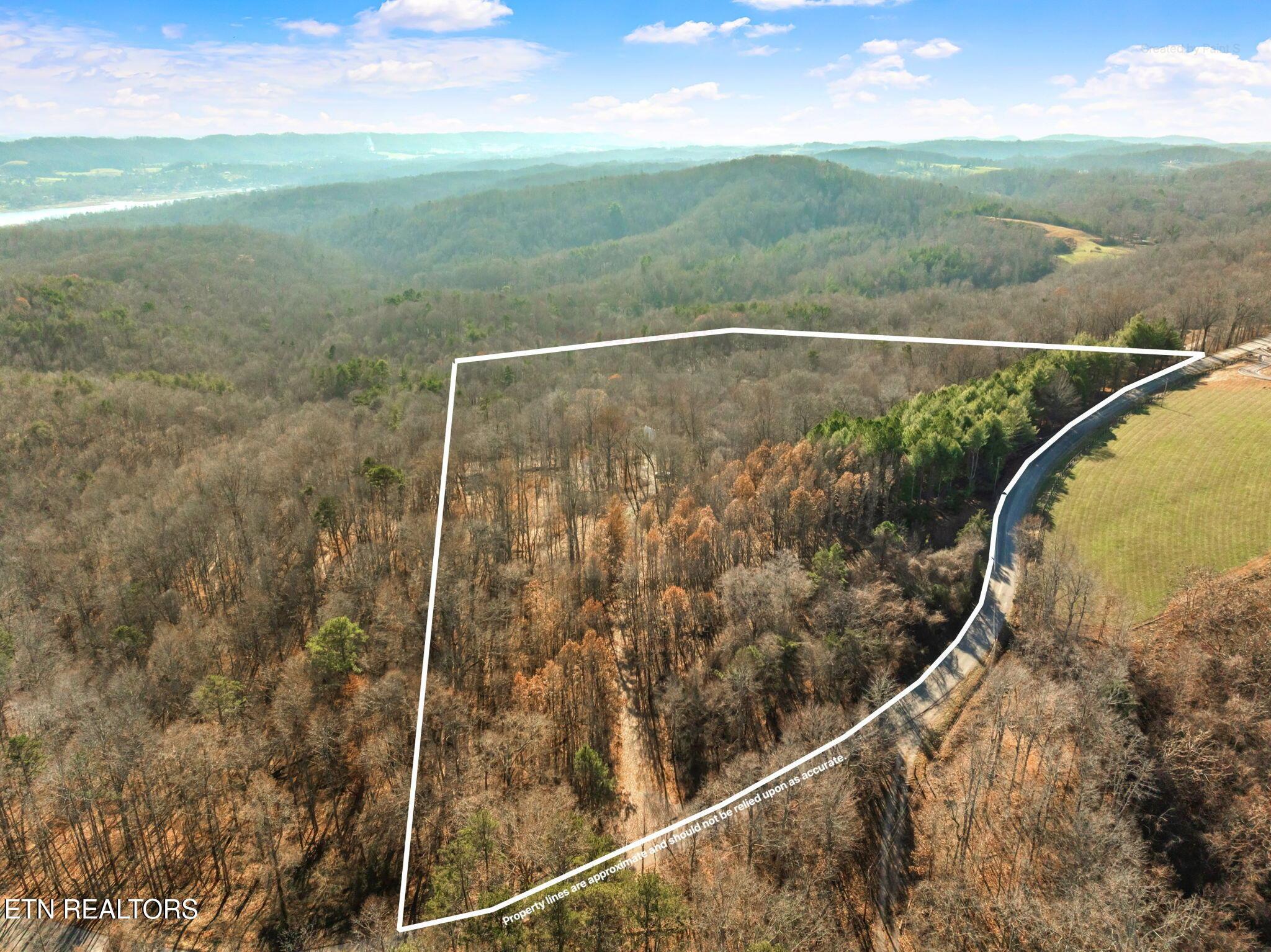 Norris Lake Real Estate - Image# 41