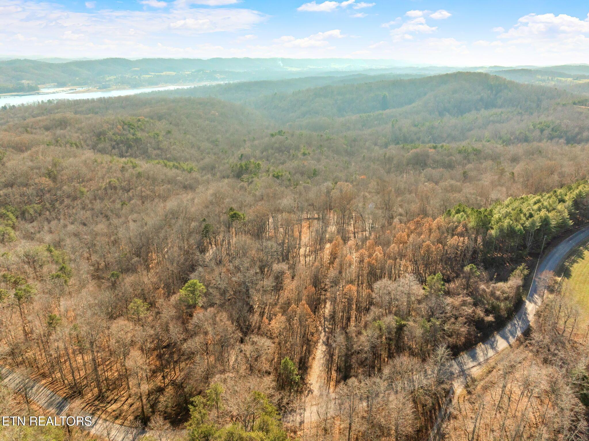 Norris Lake Real Estate - Image# 44