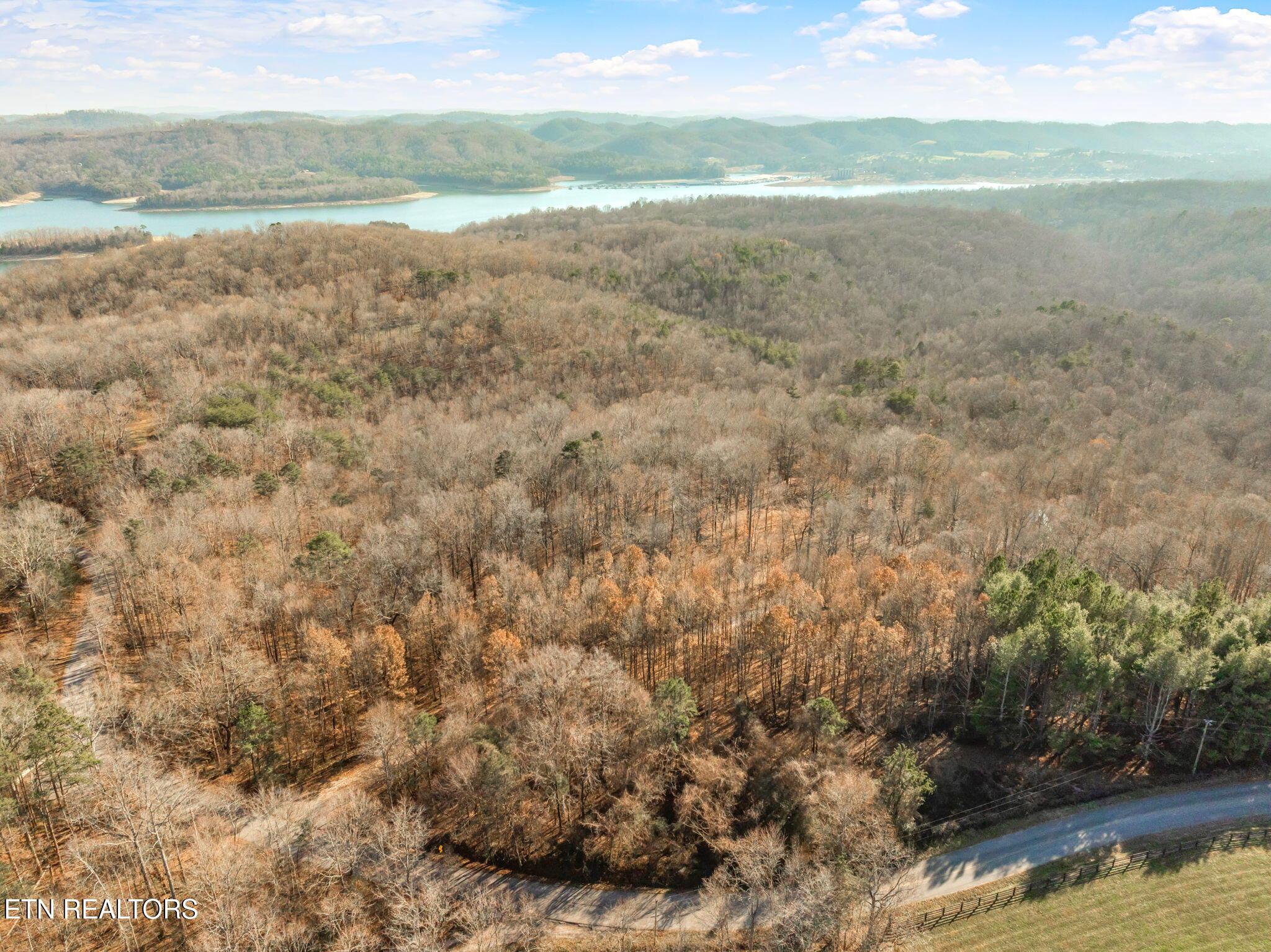 Norris Lake Real Estate - Image# 46