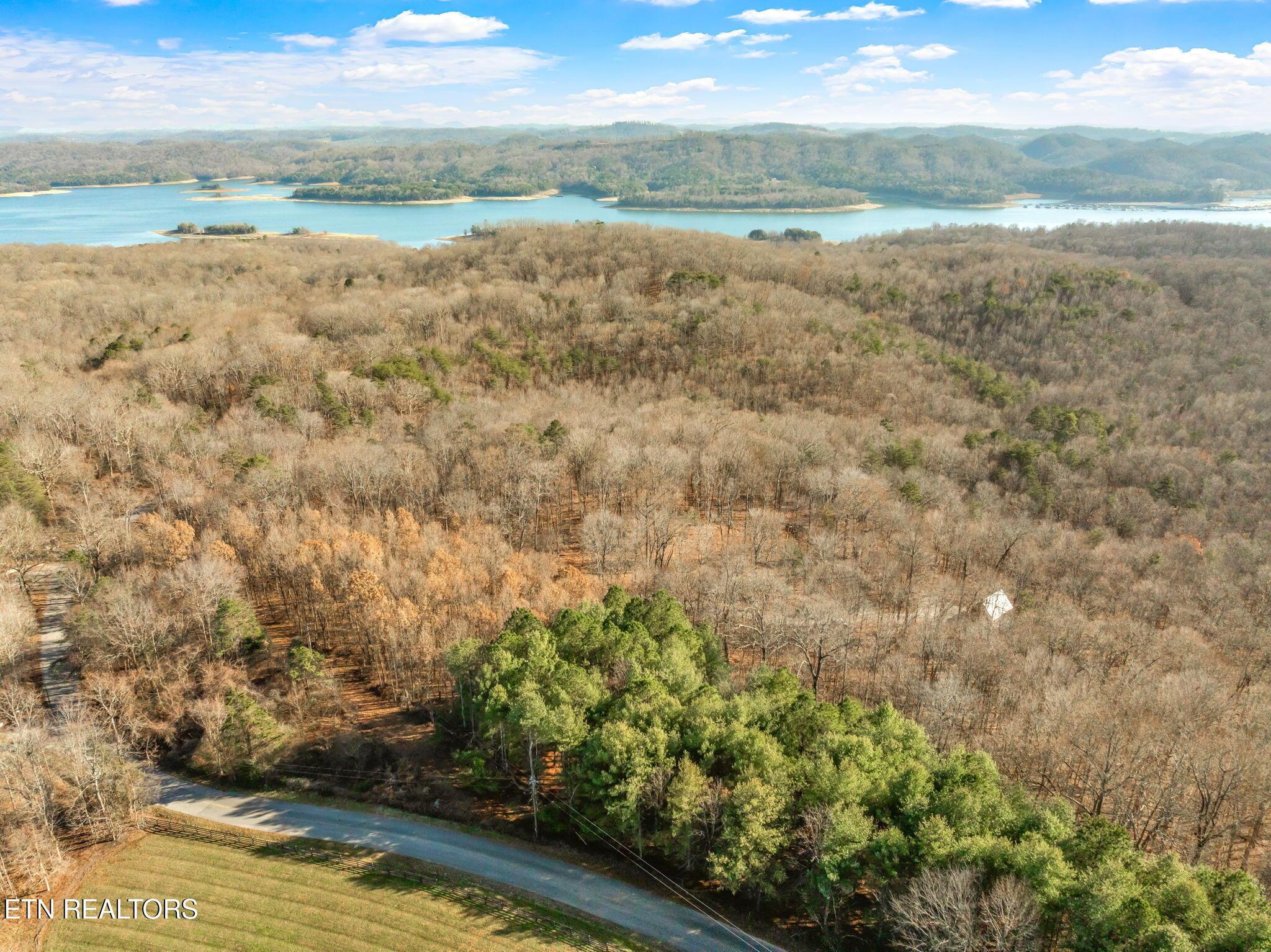 Norris Lake Real Estate - Image# 48