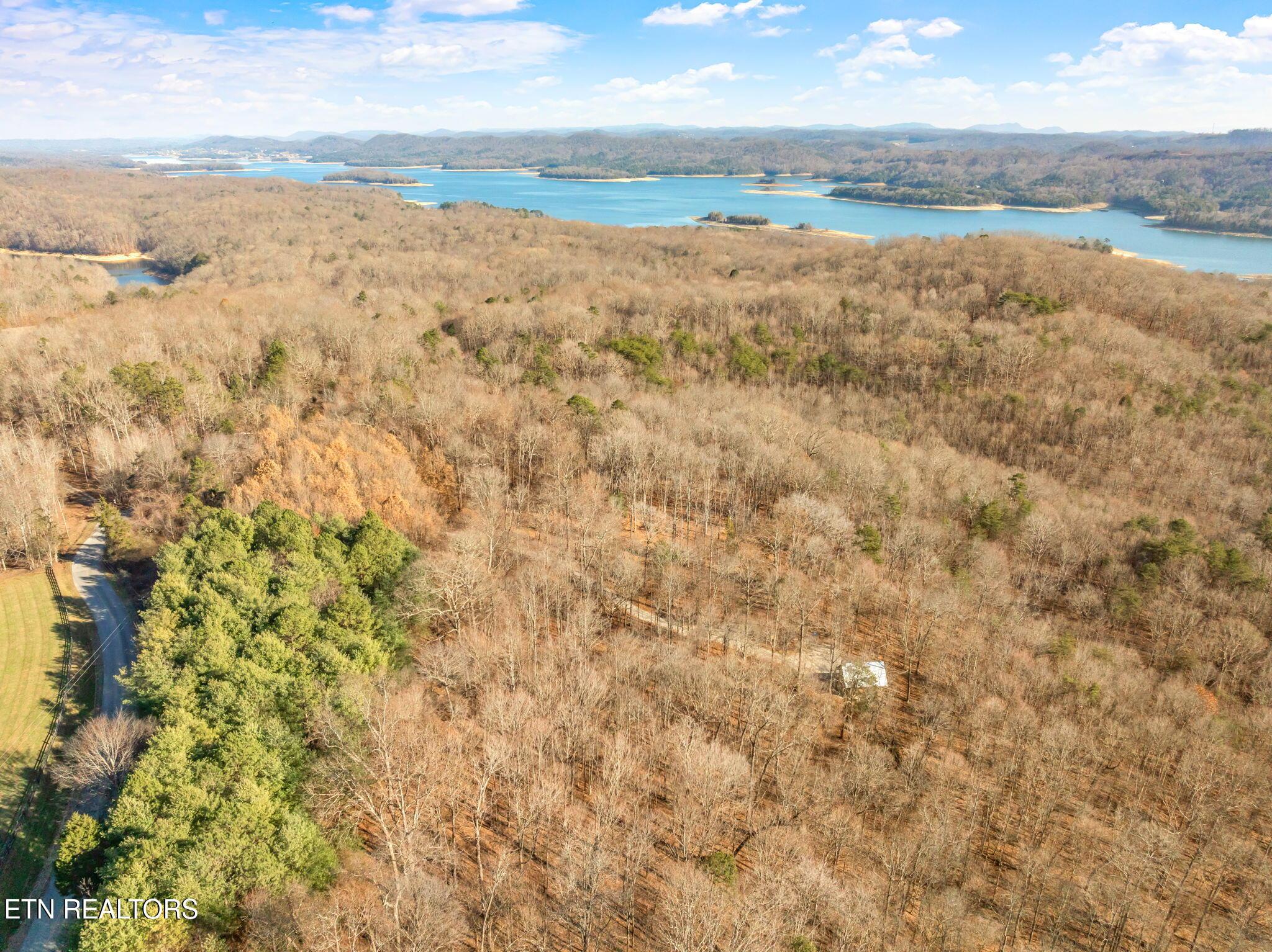 Norris Lake Real Estate - Image# 50