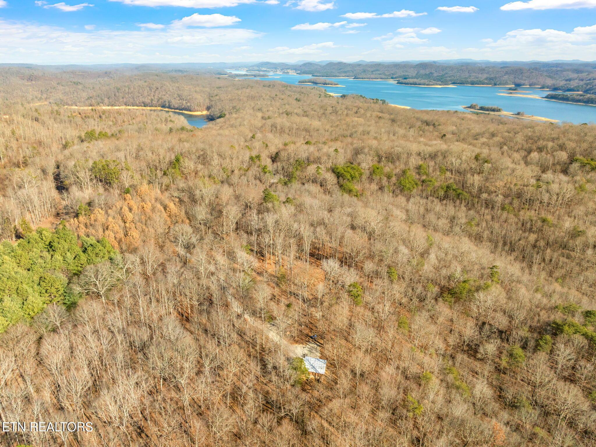 Norris Lake Real Estate - Image# 52