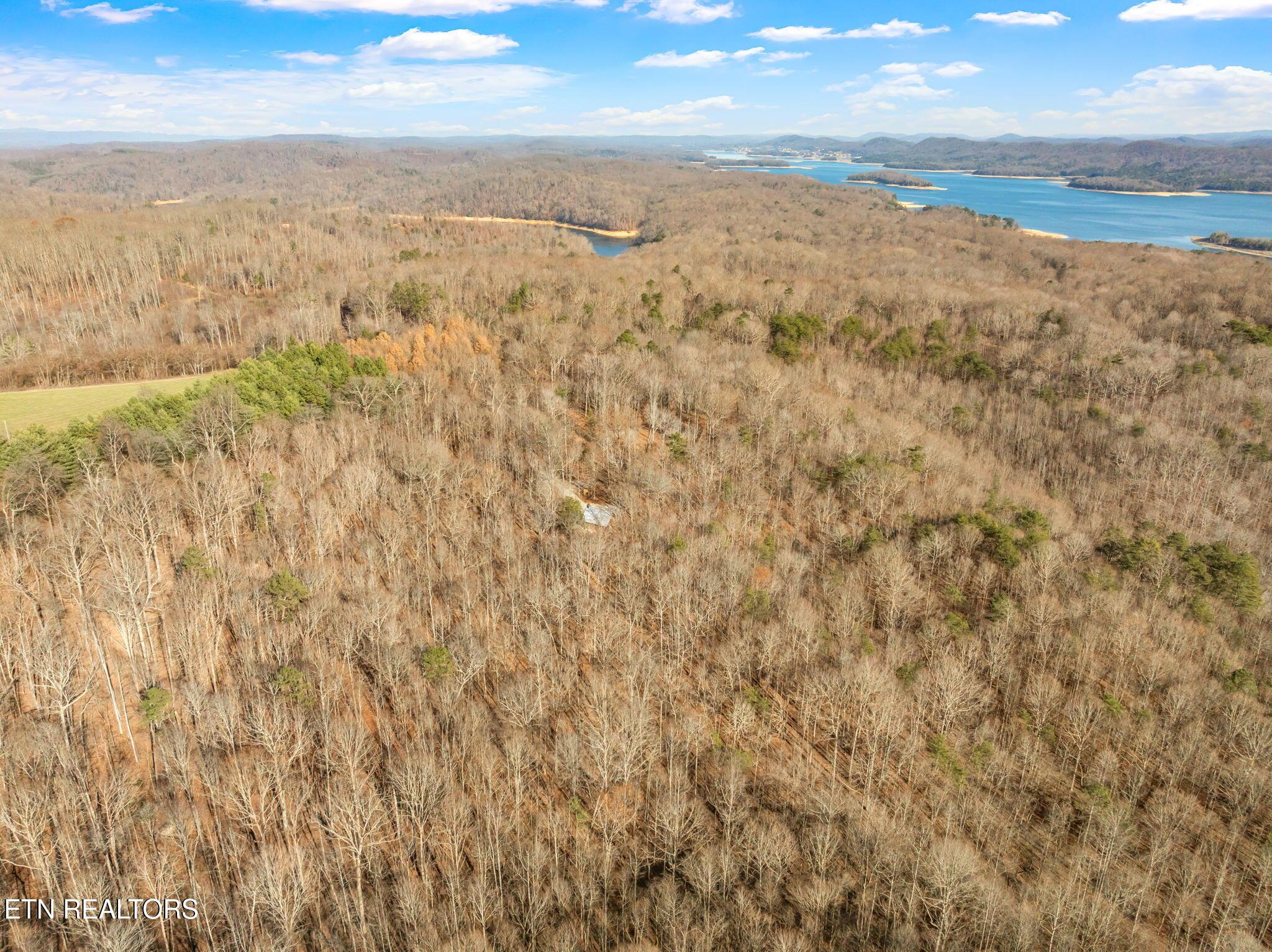 Norris Lake Real Estate - Image# 54