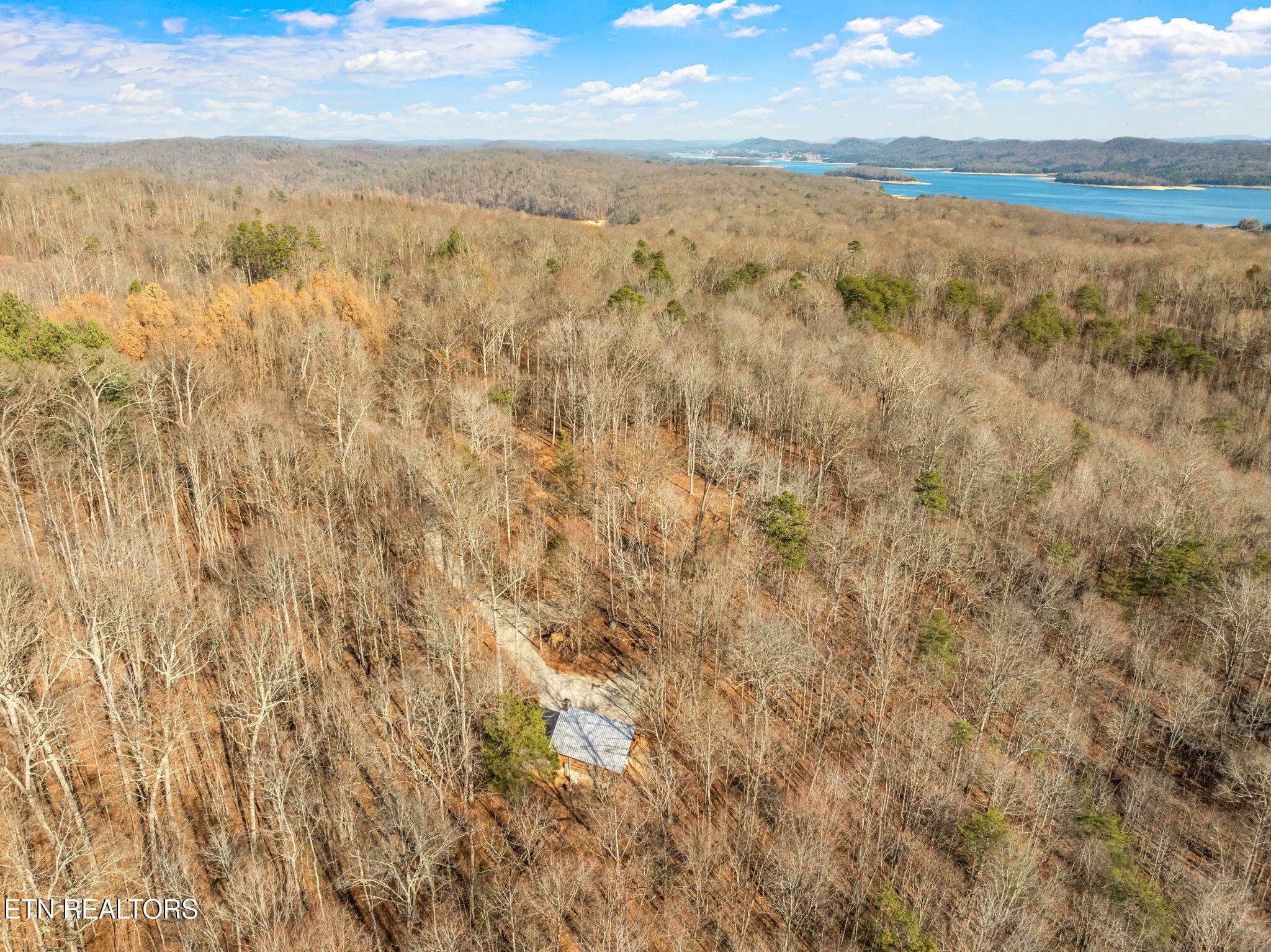 Norris Lake Real Estate - Image# 58