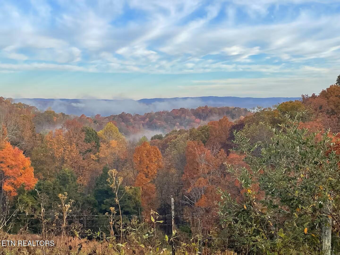 Norris Lake Real Estate - Image# 70