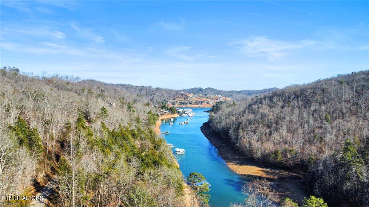 Norris Lake Real Estate - Image# 8