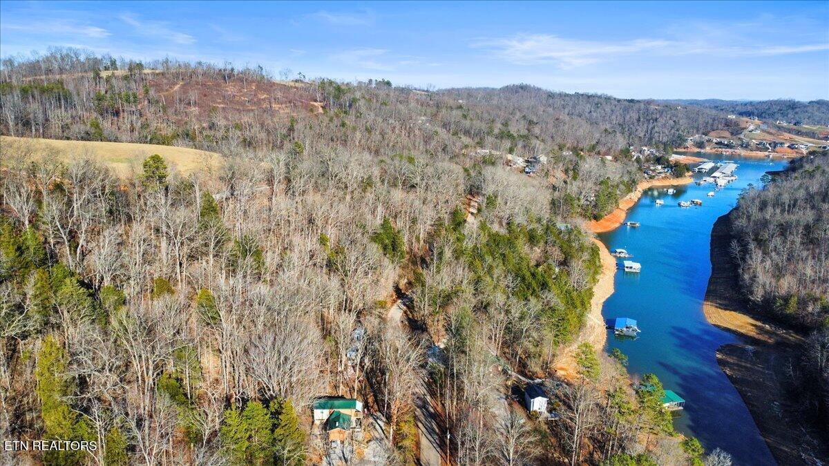 Norris Lake Real Estate - Image# 9