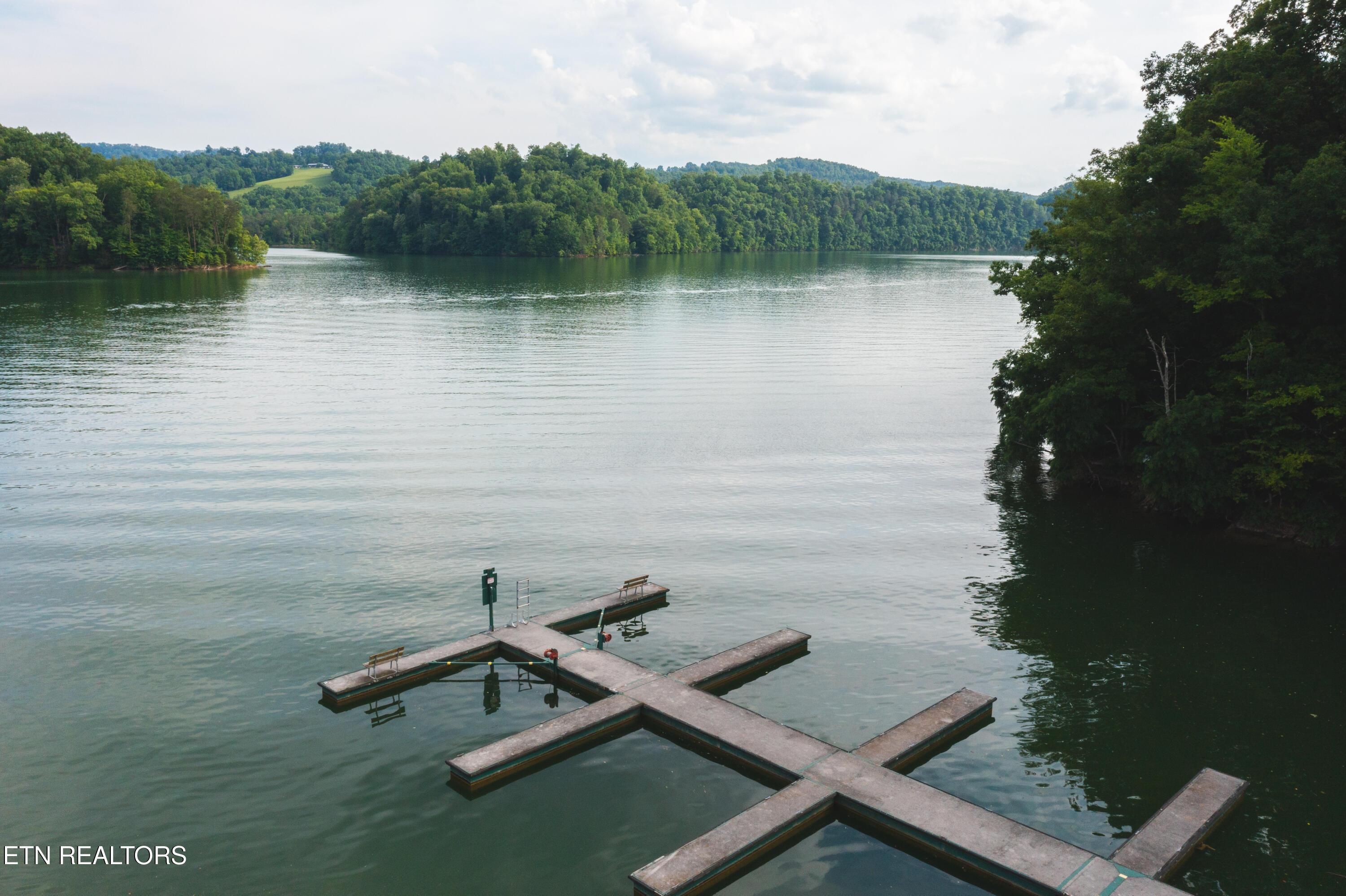 Norris Lake Real Estate - Image# 4