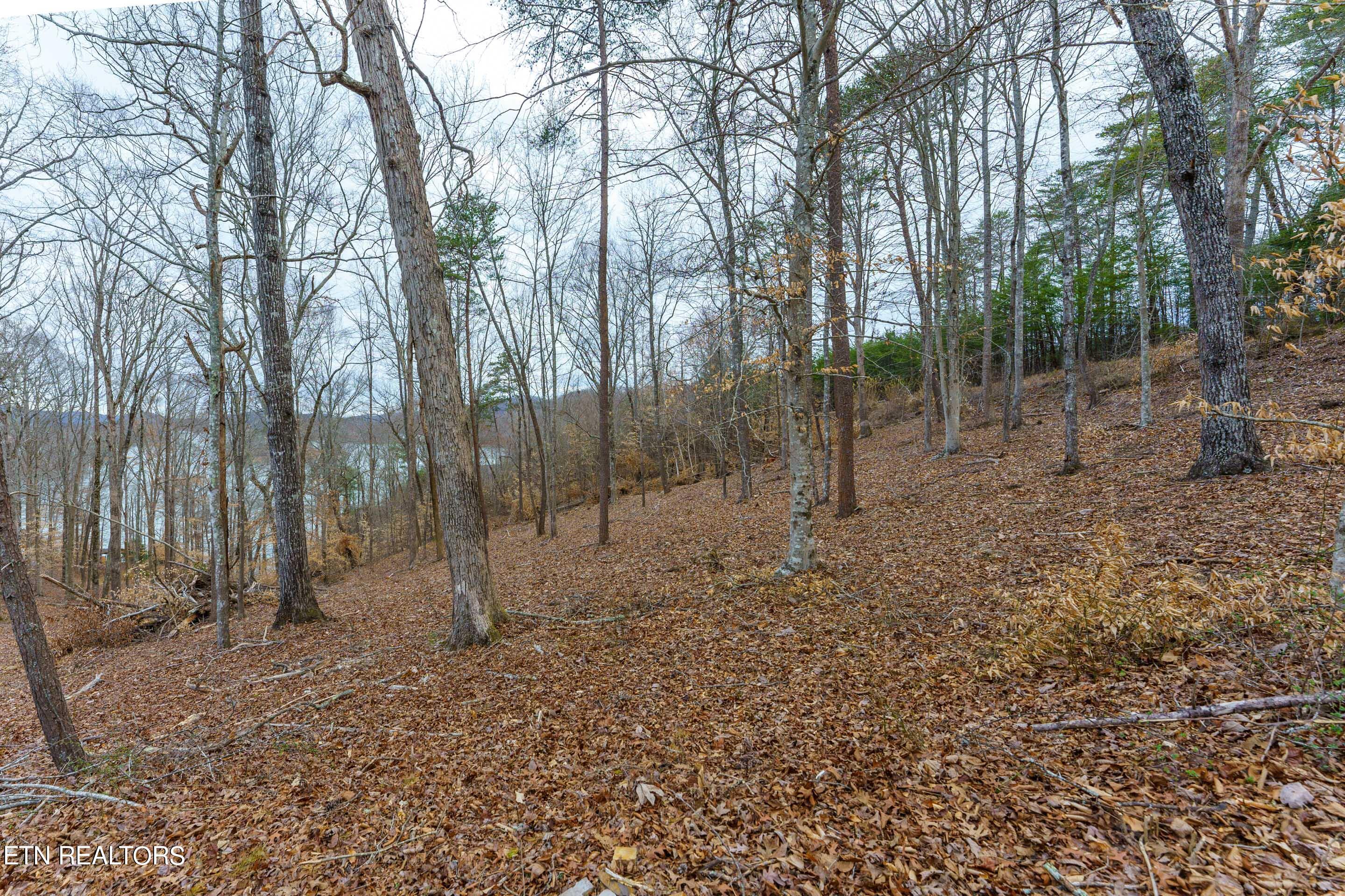 Norris Lake Real Estate - Image# 1