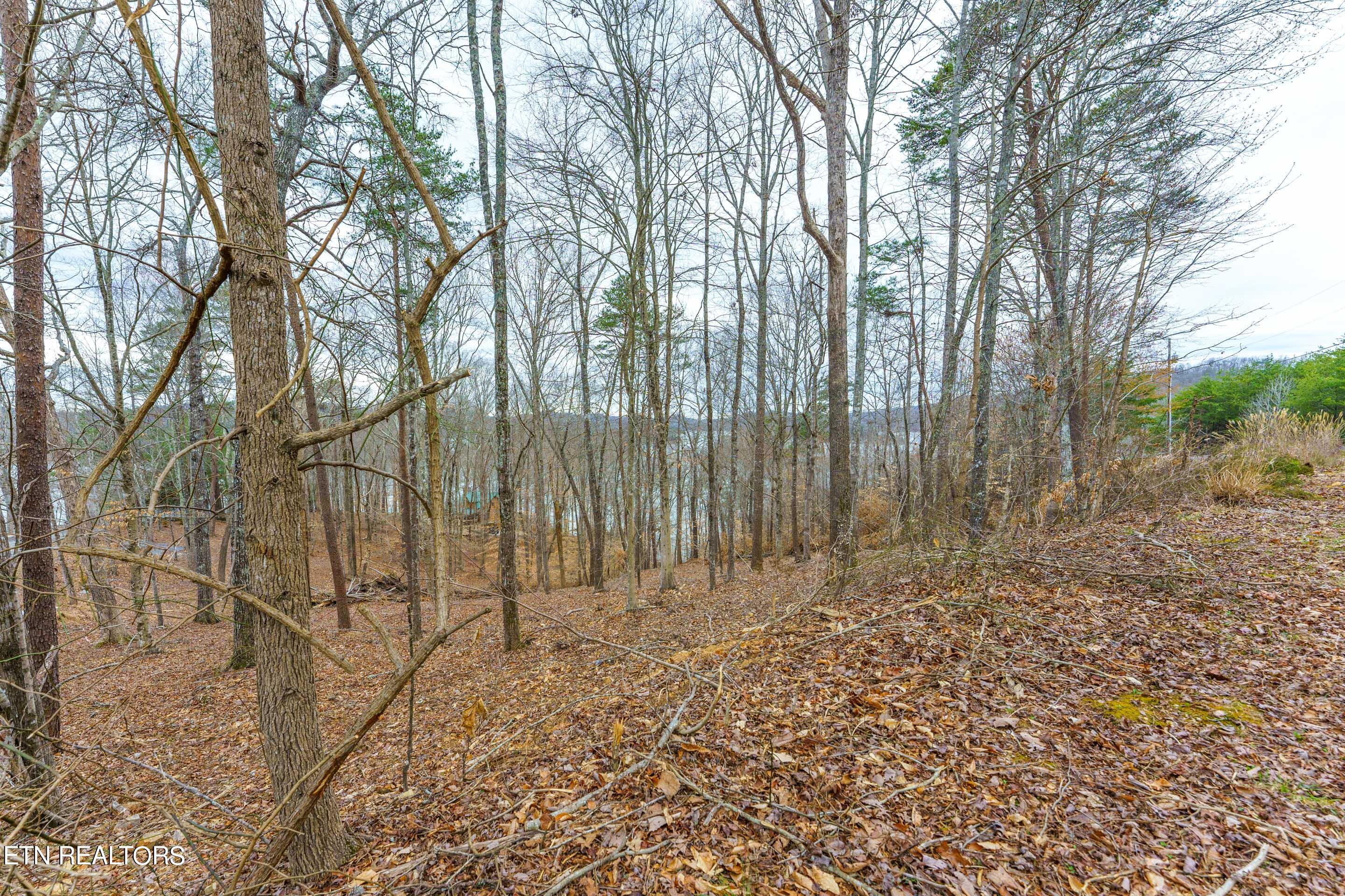 Norris Lake Real Estate - Image# 2