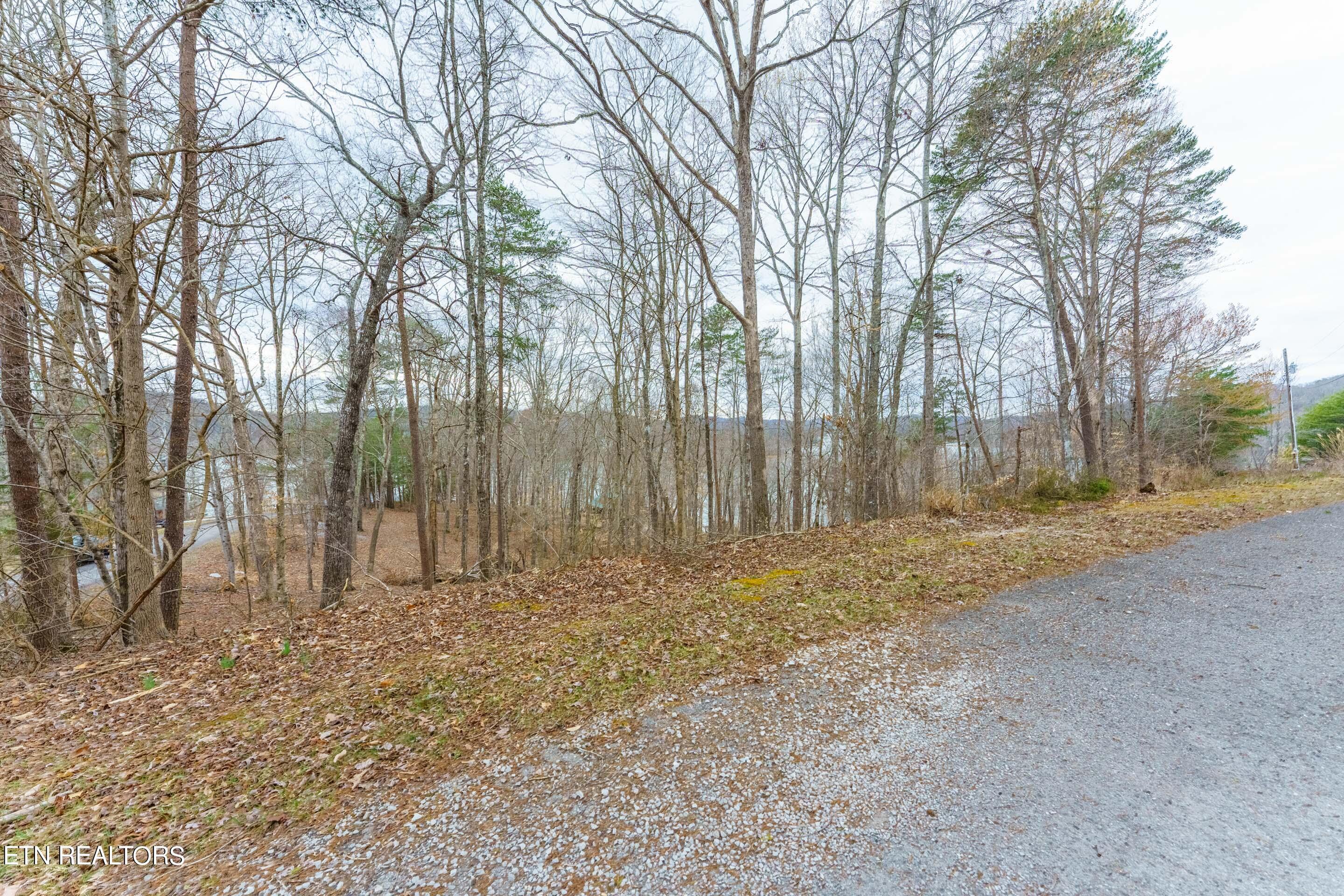 Norris Lake Real Estate - Image# 3