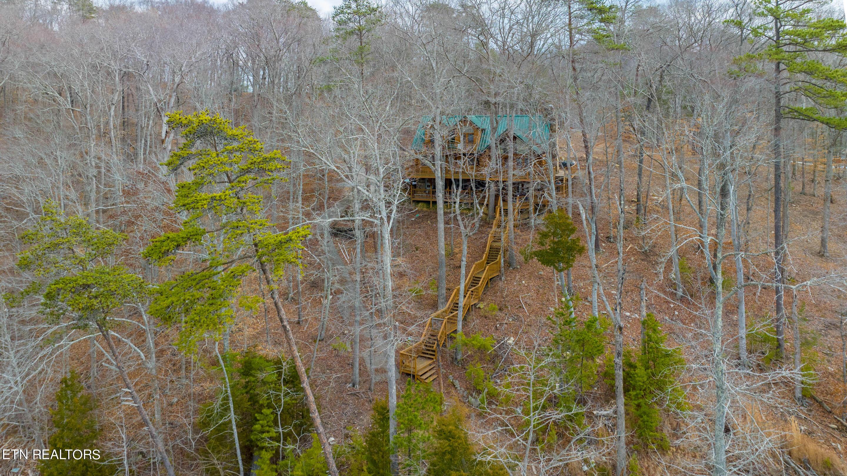 Norris Lake Real Estate - Image# 12