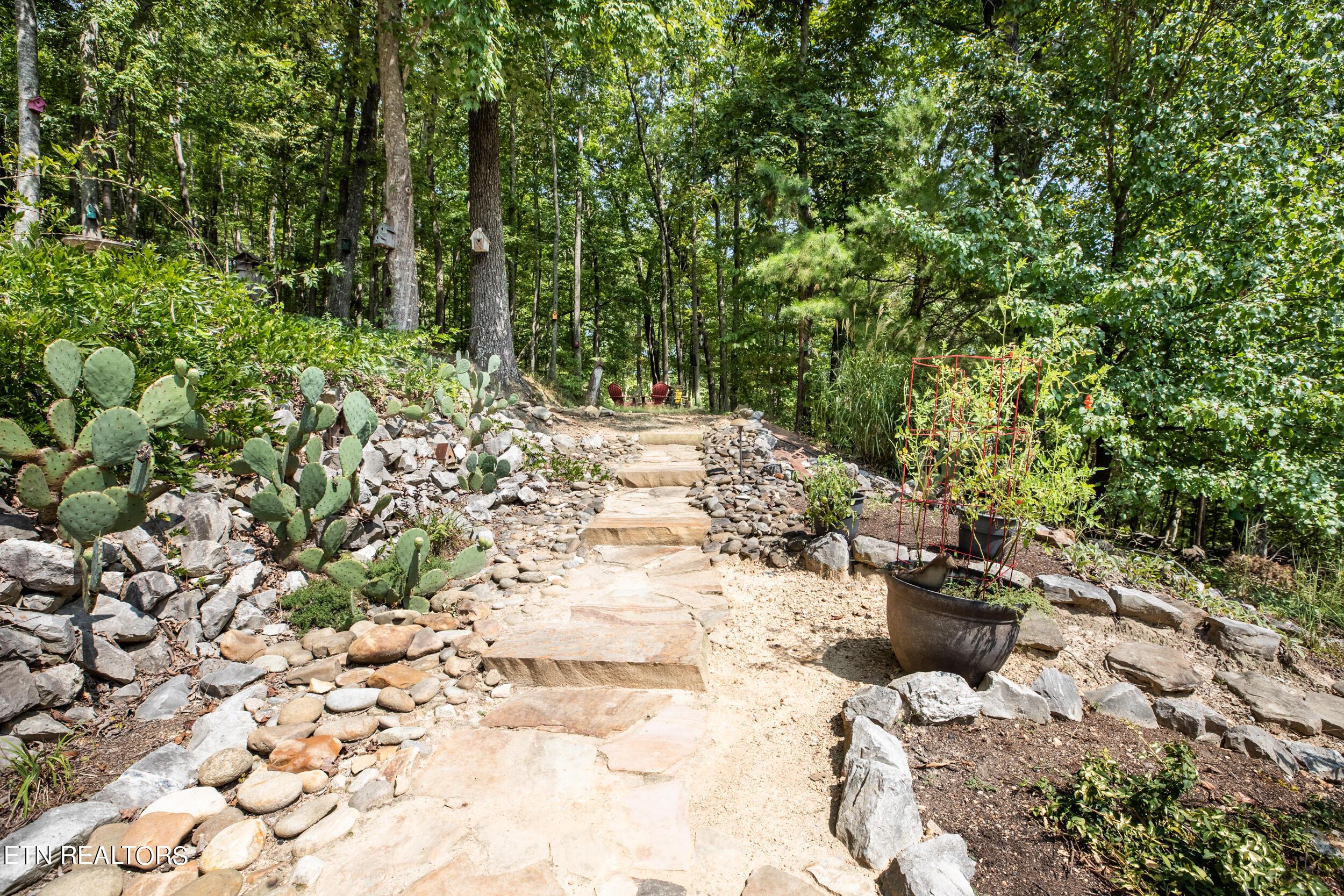 Norris Lake Real Estate - Image# 50