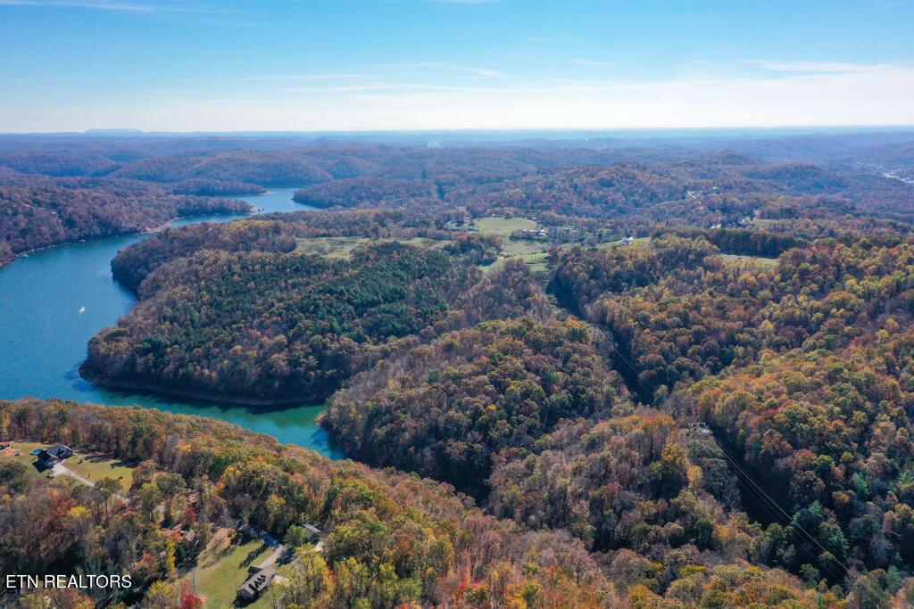 Norris Lake Real Estate - Image# 5